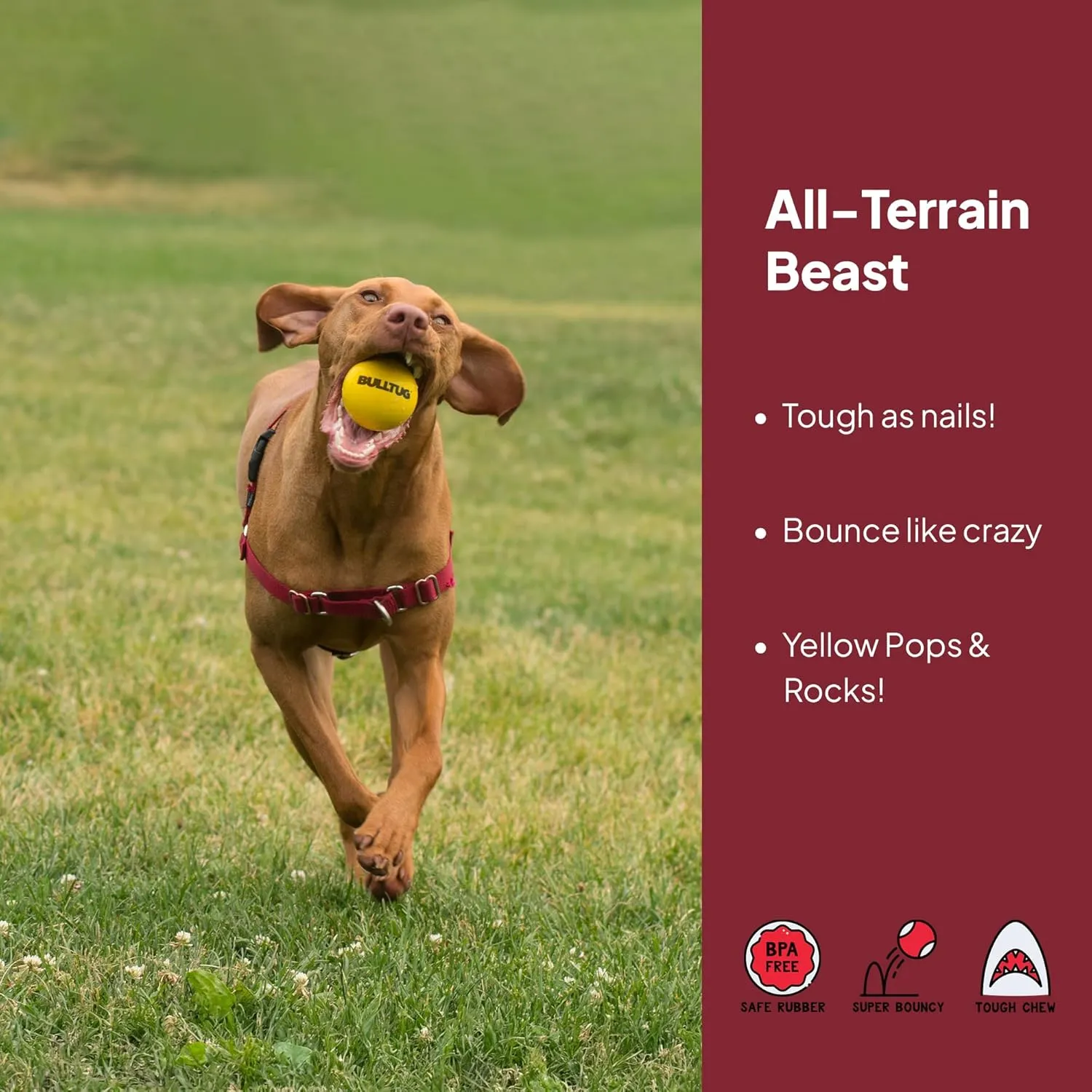 2-Pack Dog Ball for Aggressive Chewers - Heavy-Duty, Super Bouncy, Tough Rubber, 2.5" Ball for Small/Medium Breeds (Solid Yellow)