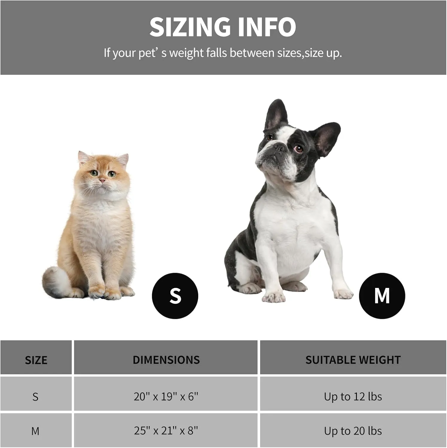 20In Dog Bed for Small Dogs & Cats - Washable Rectangle Cat Kitten Bed for Indoor Pets, Cozy Cute Puppy Bed with Non-Slip Bottom(Green, Small)