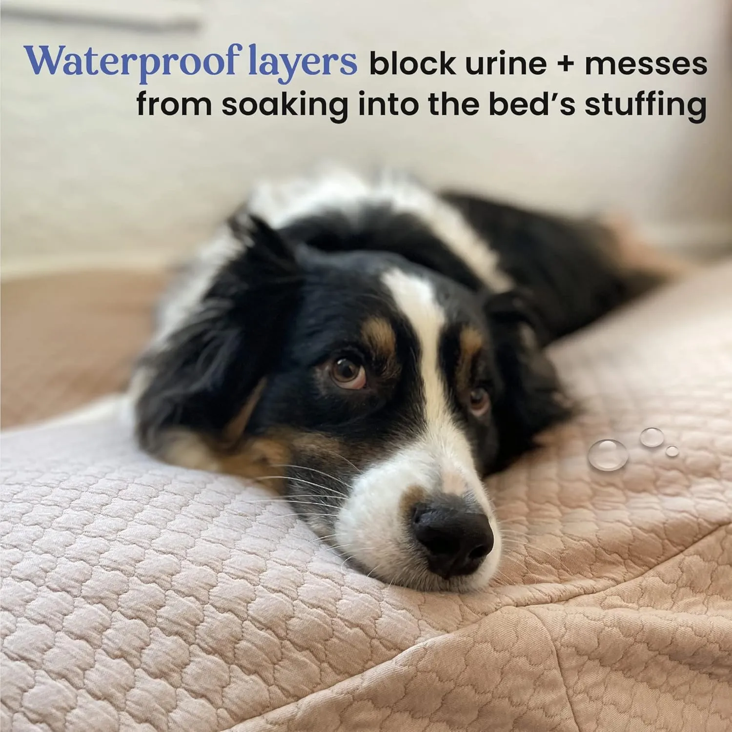 4Knines Luxury Dog Bed Cover - USA Based - Premium Durable Quilted Waterproof Heavy Duty Material (Large, Tan)