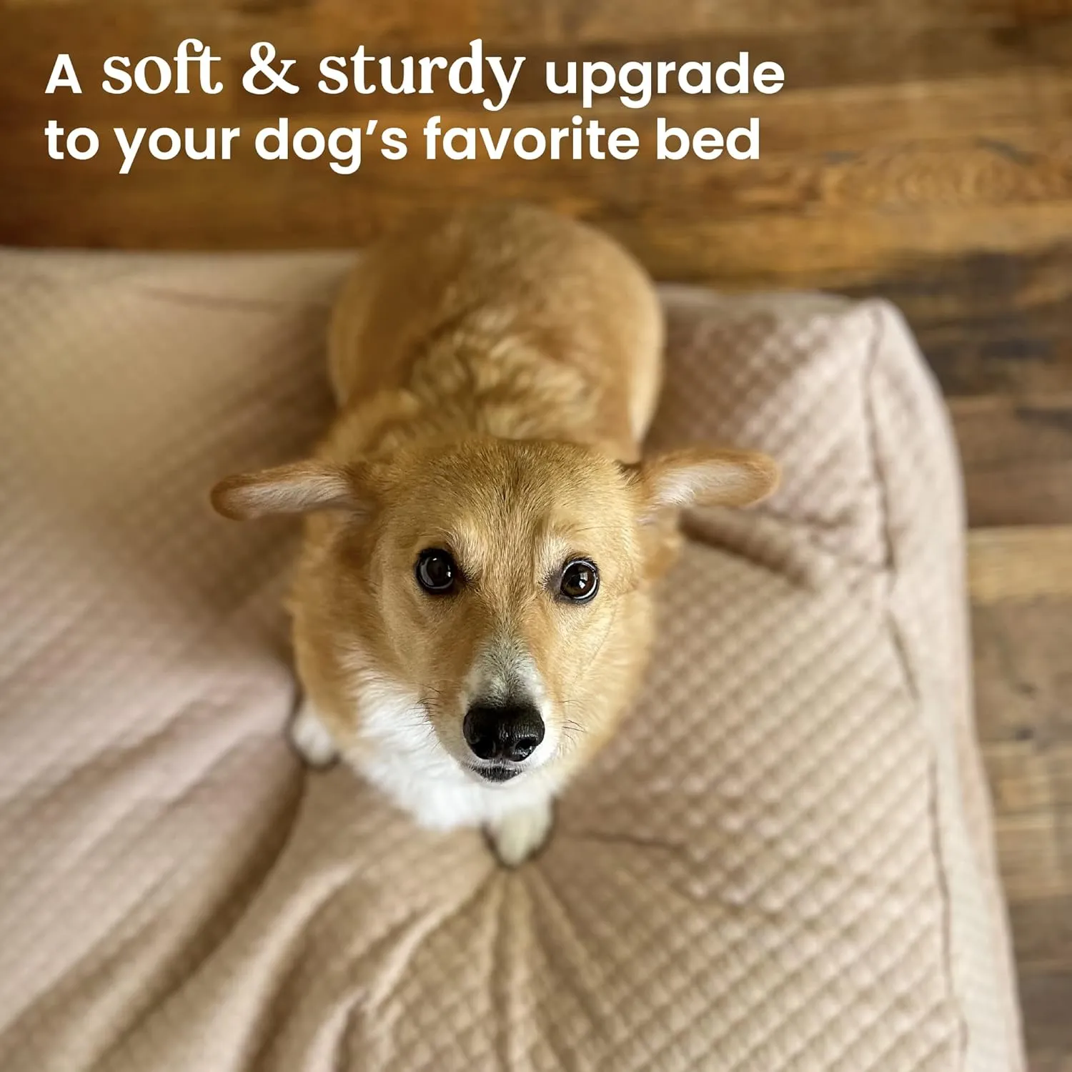 4Knines Luxury Dog Bed Cover - USA Based - Premium Durable Quilted Waterproof Heavy Duty Material (Large, Tan)