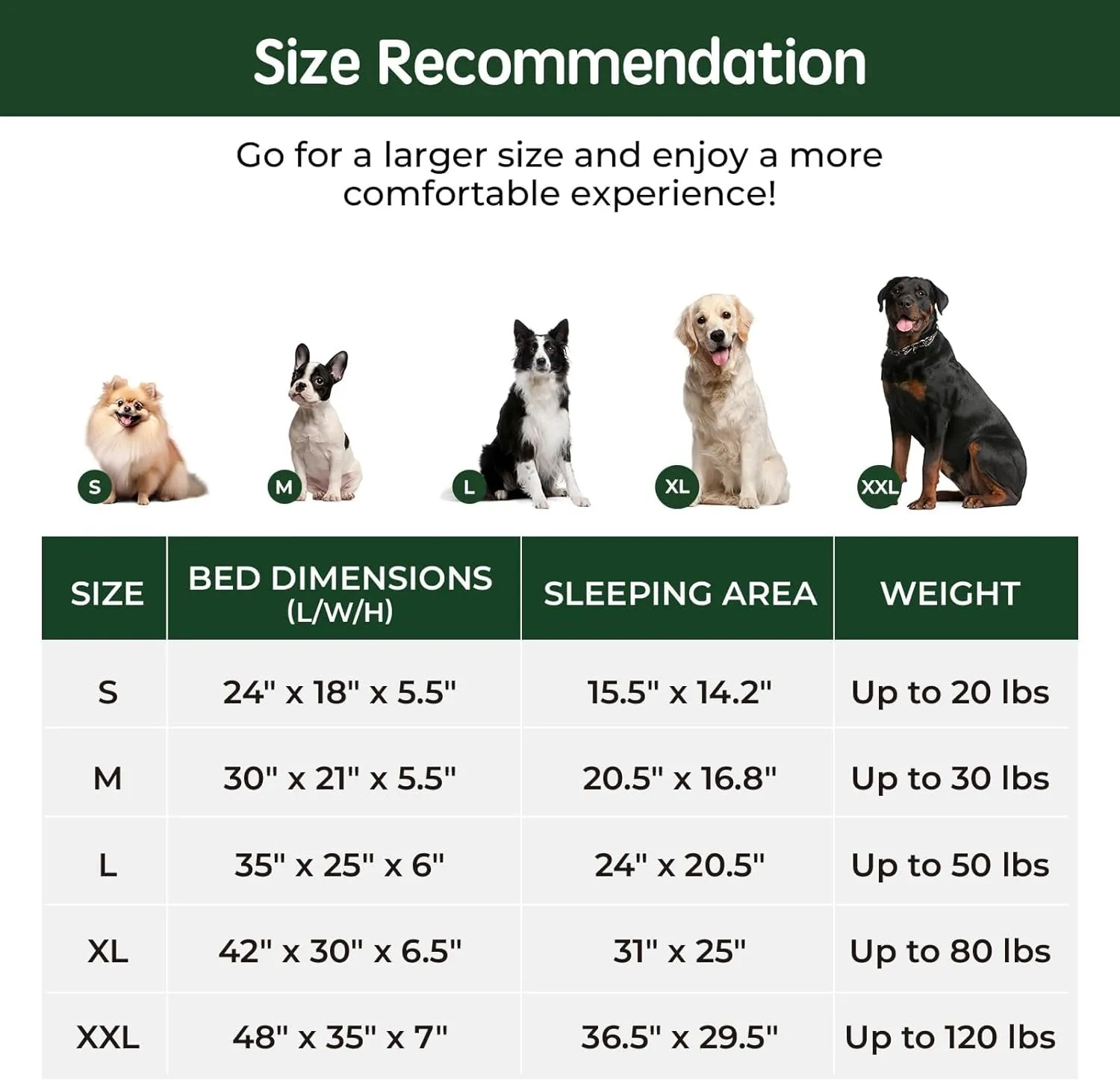 BALANCE Orthopedic Dog Bed, Egg Crate Foam Dog Couch for Pet Sleeping, Pet Sofa with Removable Washable Cover & Waterproof Lining, Comfy Dogs Bed for Medium Size Dogs, Grey