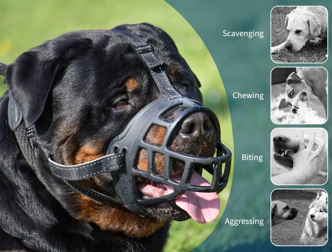 BARKLESS Dog Muzzle, Soft Silicone Basket Muzzle for Dogs, Allows Panting and Drinking, Prevents Unwanted Barking Biting and Chewing, Included Collar and Training Guide