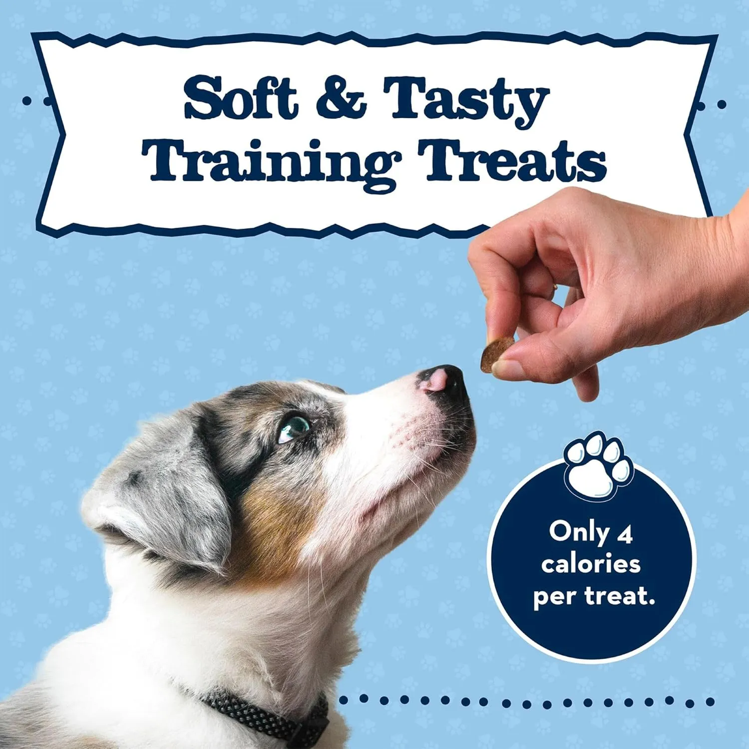 Blue Buffalo Baby Blue Training Treats Natural Puppy Soft Dog Treats, Savory Chicken 4-oz Bag (Pack of 2)