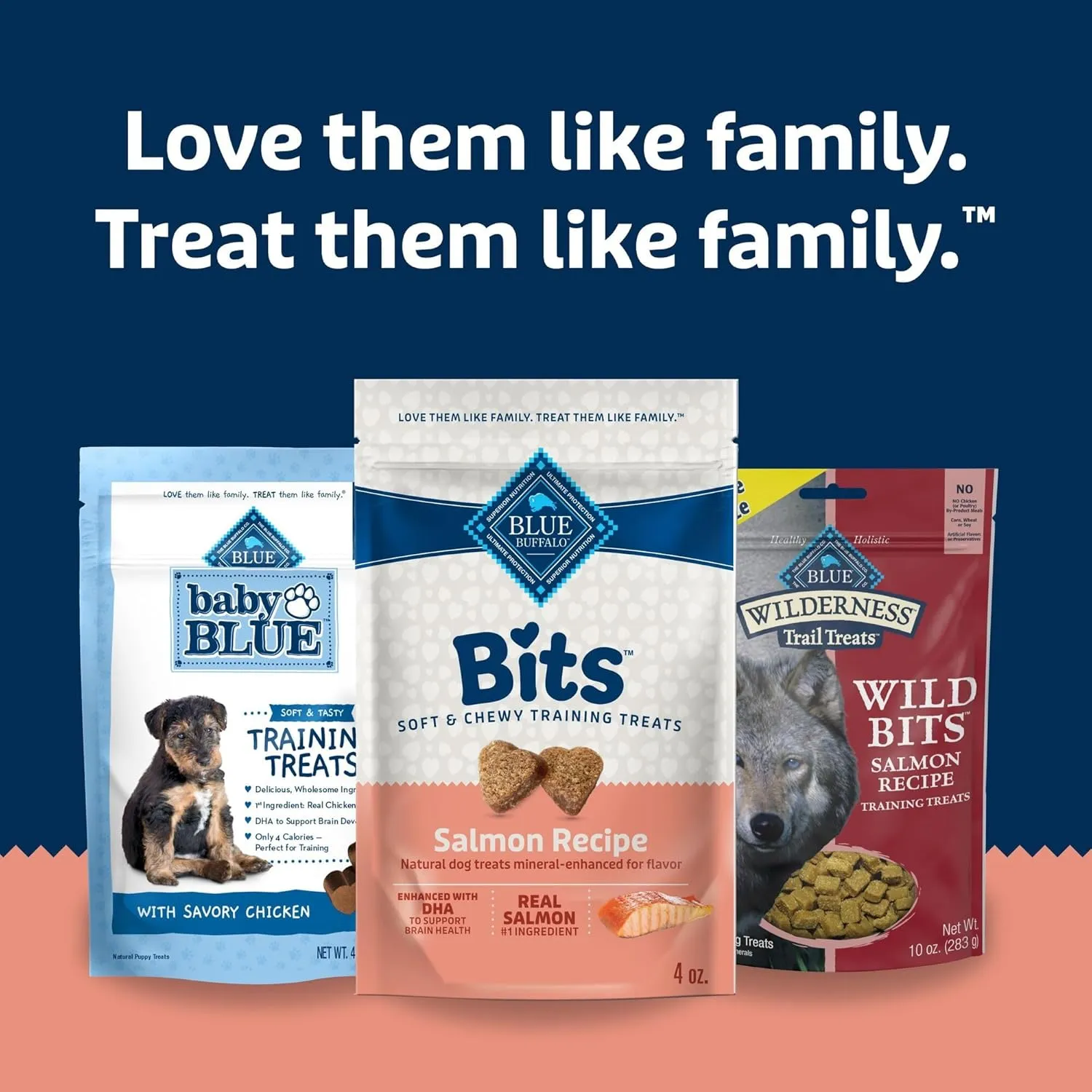 Blue Buffalo Bits Soft Dog Treats for Training, Made with Natural Ingredients & Enhanced with DHA, Salmon Recipe, 4-oz Bag
