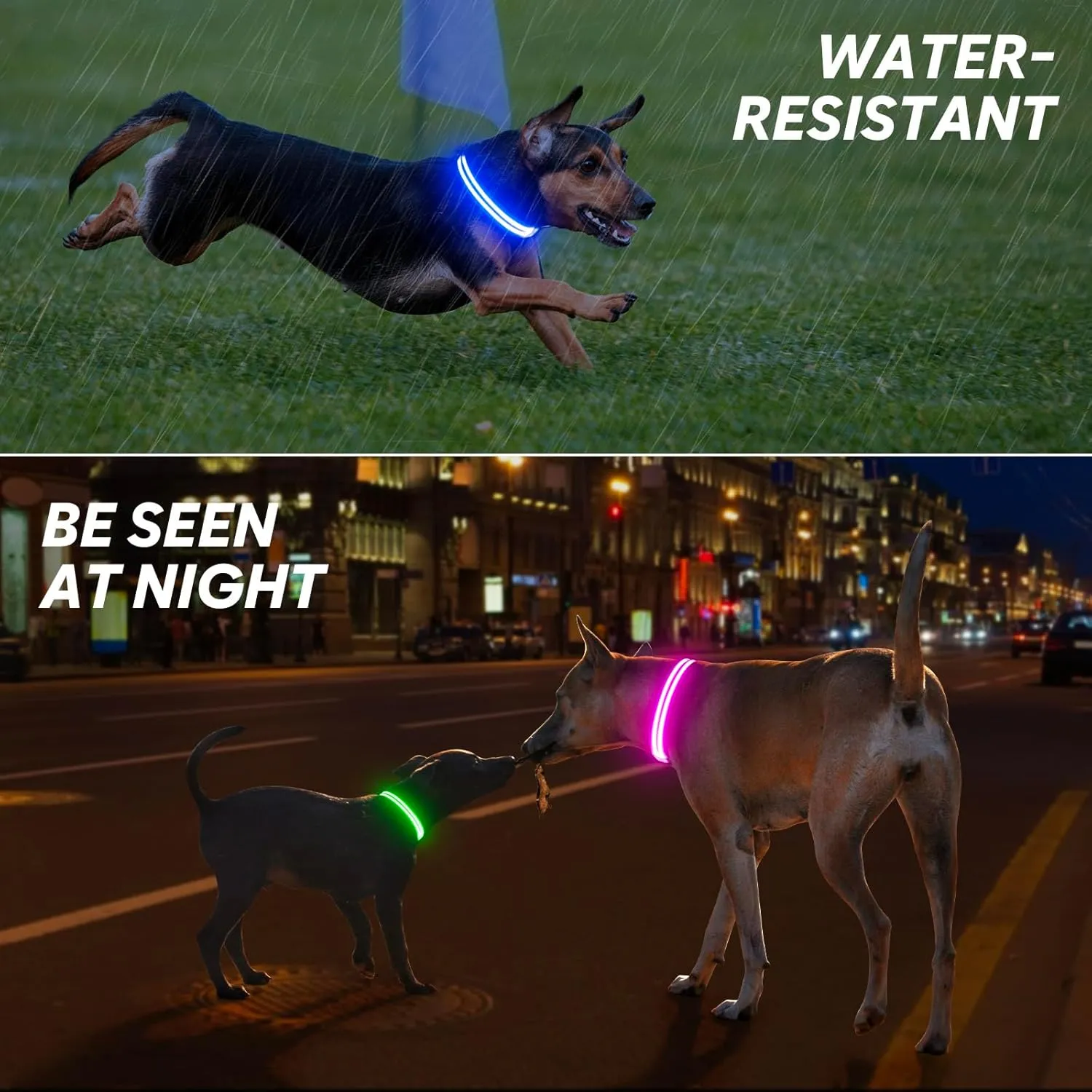 BSEEN Light Up Dog Collar - Glowing LED Dog Collar Rechargeable, Double Line Fiber Optic Adjustable Lighted Puppy Collar Dog Lights for Night Walking (Pink, Small)