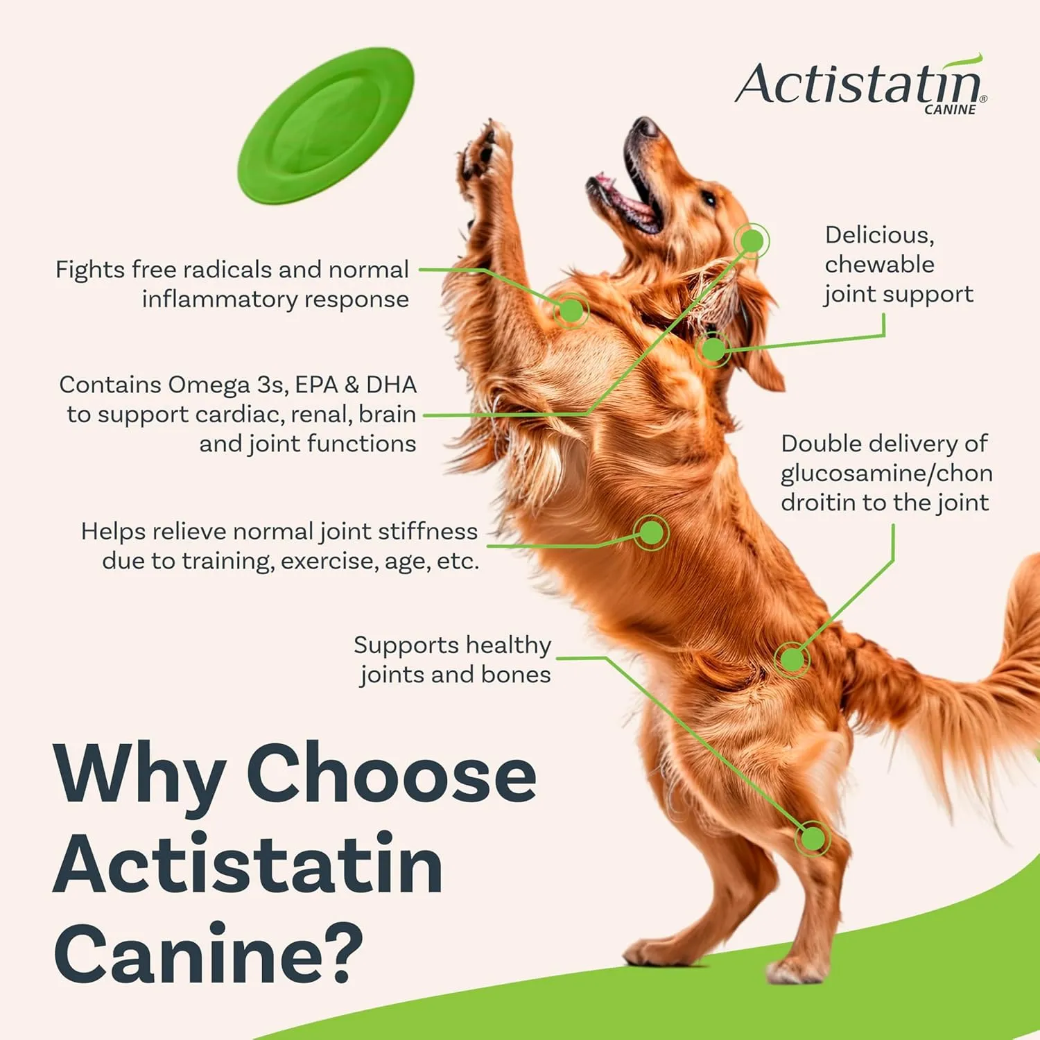 Canine Large Dog Soft Chews, 120ct  Patented Extra-Strength Joint, Cartilage, Soft Tissue Supplement: Glucosamine, Chondroitin, Manganese, MSM, L-Carnitine  High Absorption, Fast Results