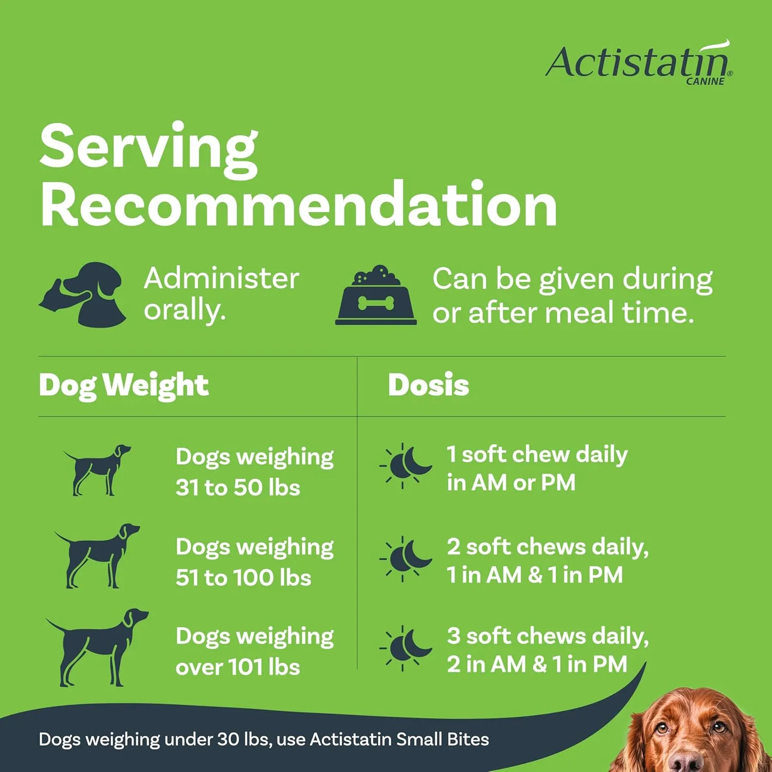 Canine Large Dog Soft Chews, 120ct  Patented Extra-Strength Joint, Cartilage, Soft Tissue Supplement: Glucosamine, Chondroitin, Manganese, MSM, L-Carnitine  High Absorption, Fast Results