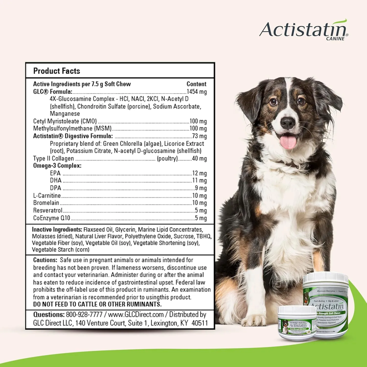 Canine Large Dog Soft Chews, 120ct  Patented Extra-Strength Joint, Cartilage, Soft Tissue Supplement: Glucosamine, Chondroitin, Manganese, MSM, L-Carnitine  High Absorption, Fast Results