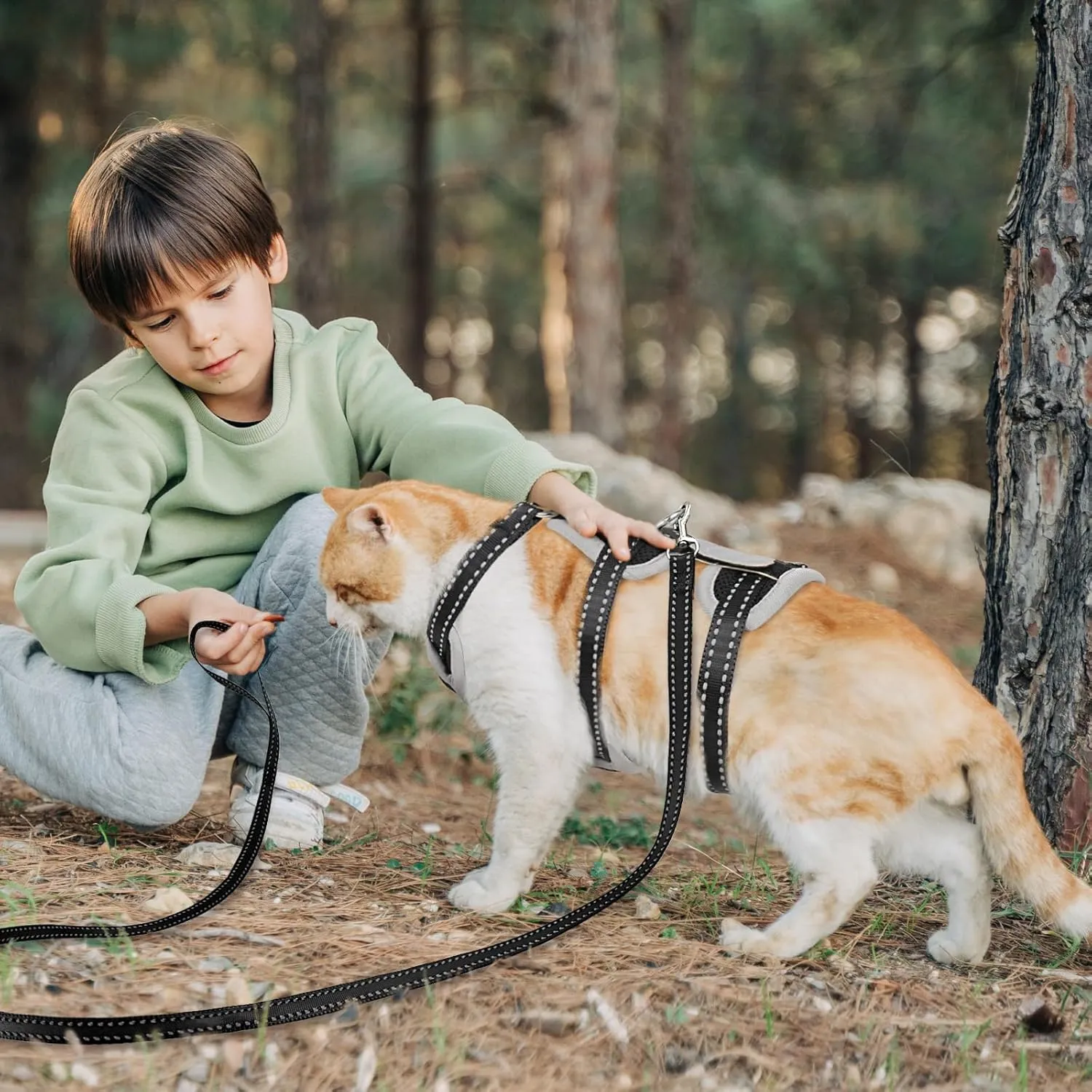 Cat Harness for Walking, Escape Proof Cat Harness and Leash Set with Reflective Strip, Adjustable Cat Leash Breathable Soft Vest for Small to Large Cats, BlackGrey, M