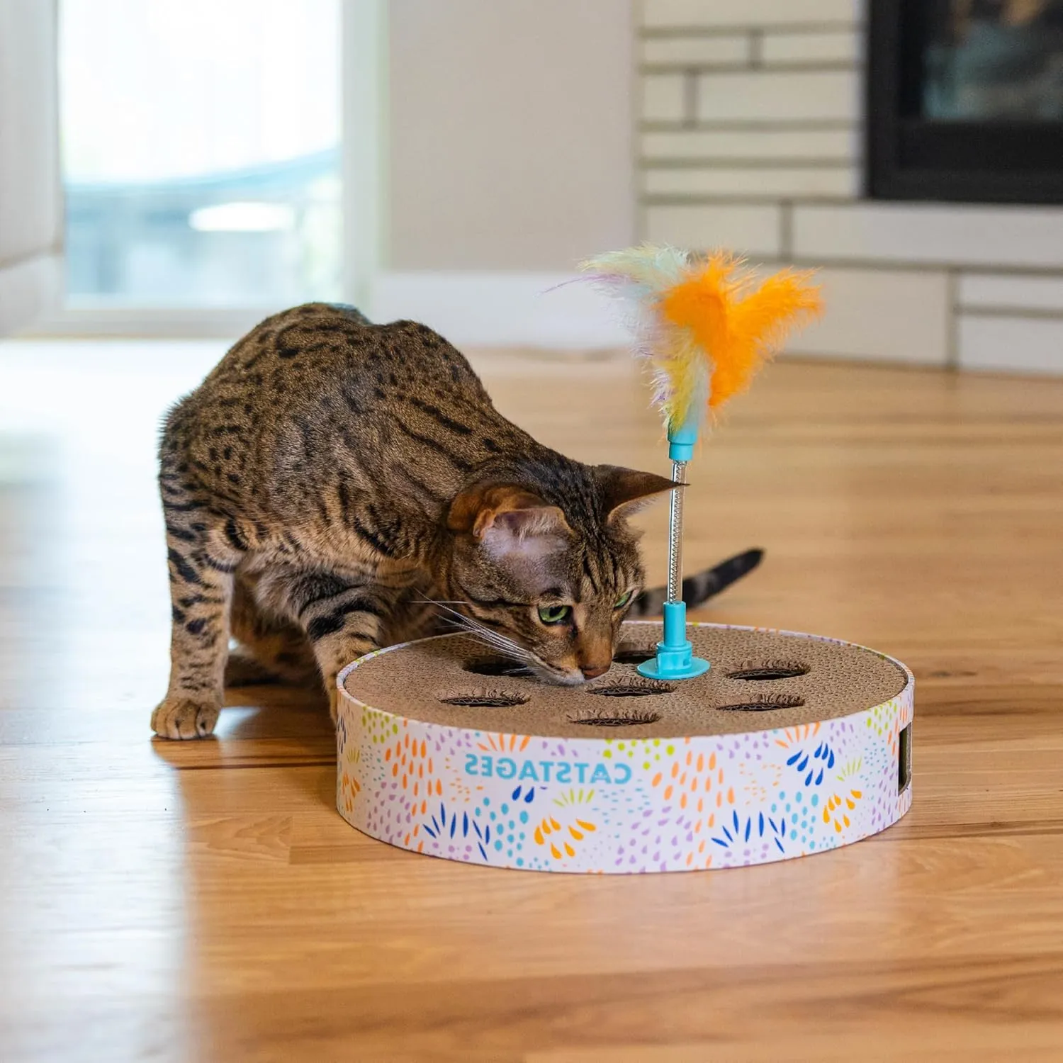Catstages Scratch N Hunt Spring Toy, Two-in-One Cat Scratcher and Ball Puzzle Game with Feather Spring Toy, Blue
