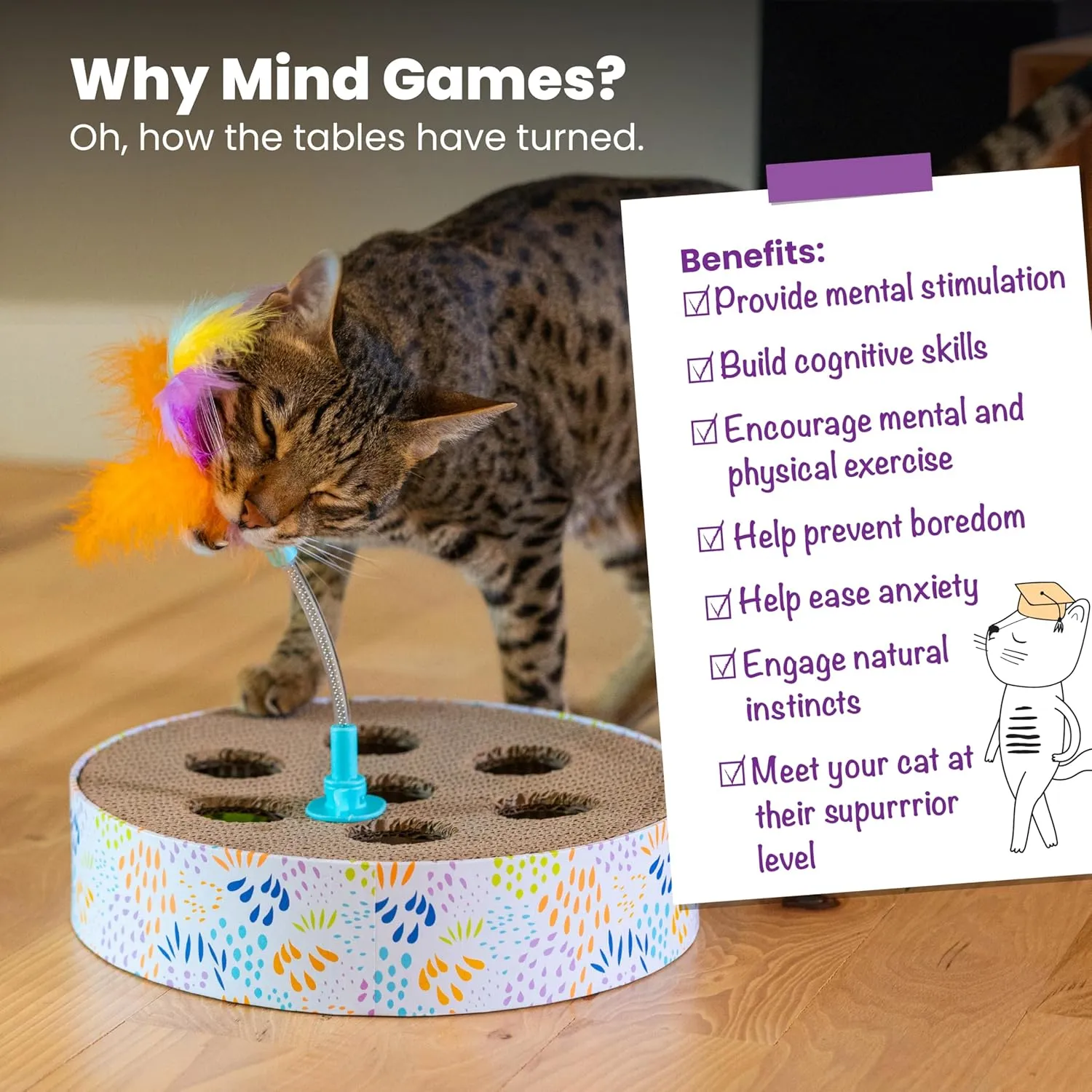Catstages Scratch N Hunt Spring Toy, Two-in-One Cat Scratcher and Ball Puzzle Game with Feather Spring Toy, Blue