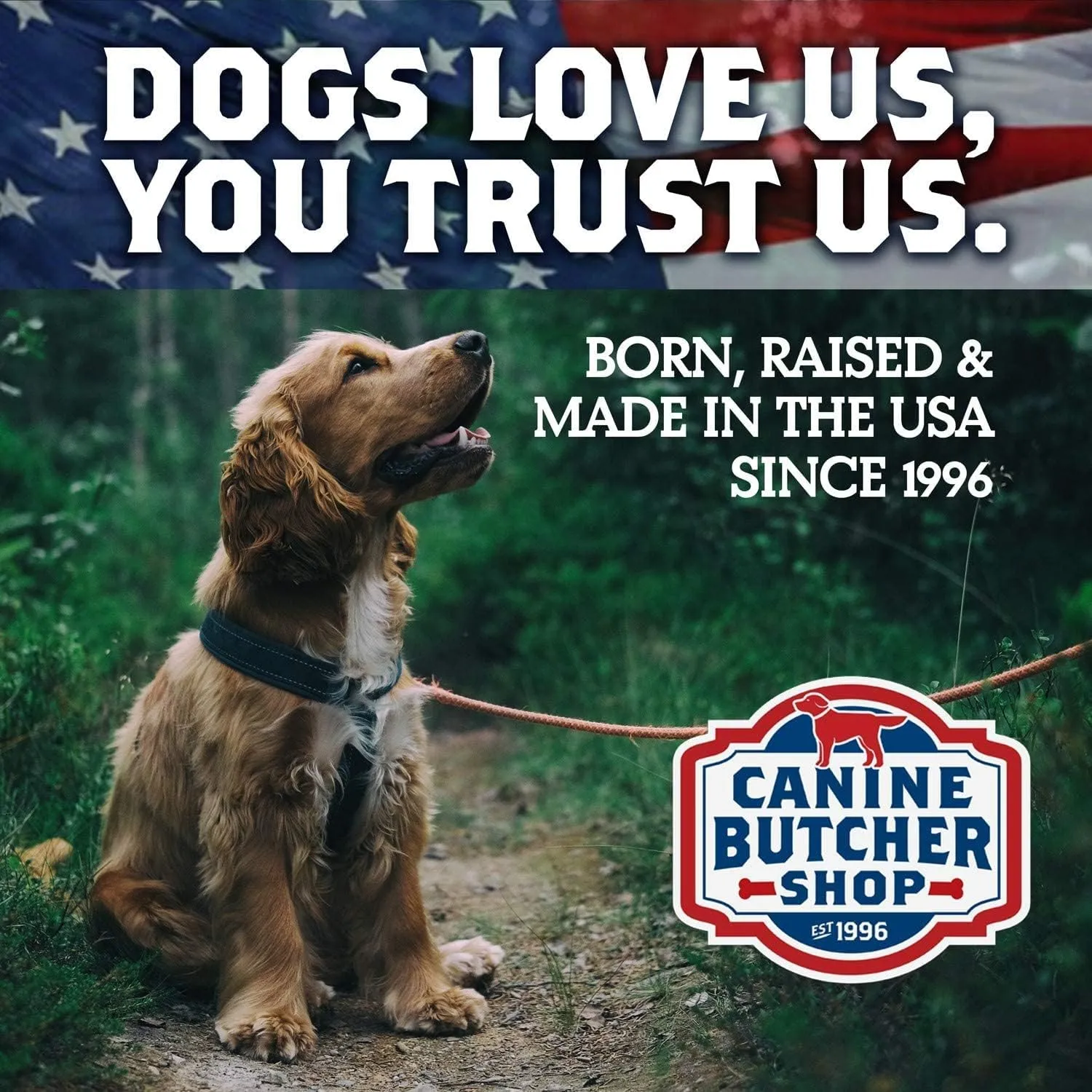 Chicken Feet Dog Treats, Raised & Made in USA (200-Pack), Dehydrated Chicken Feet, All Natural Dog Chews & Snacks