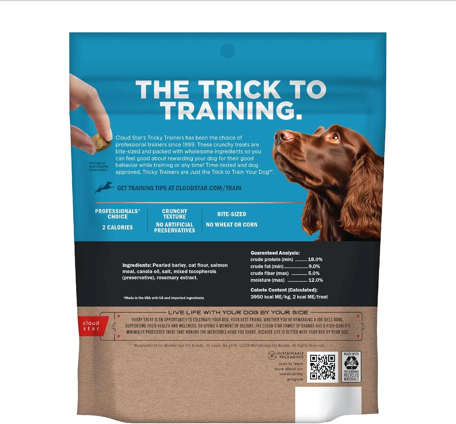 Cloud Star Tricky Trainers Crunchy Dog Training Treats 8 oz. Pouch, Salmon Flavor, Low Calorie Behavior Aid with 450 treats