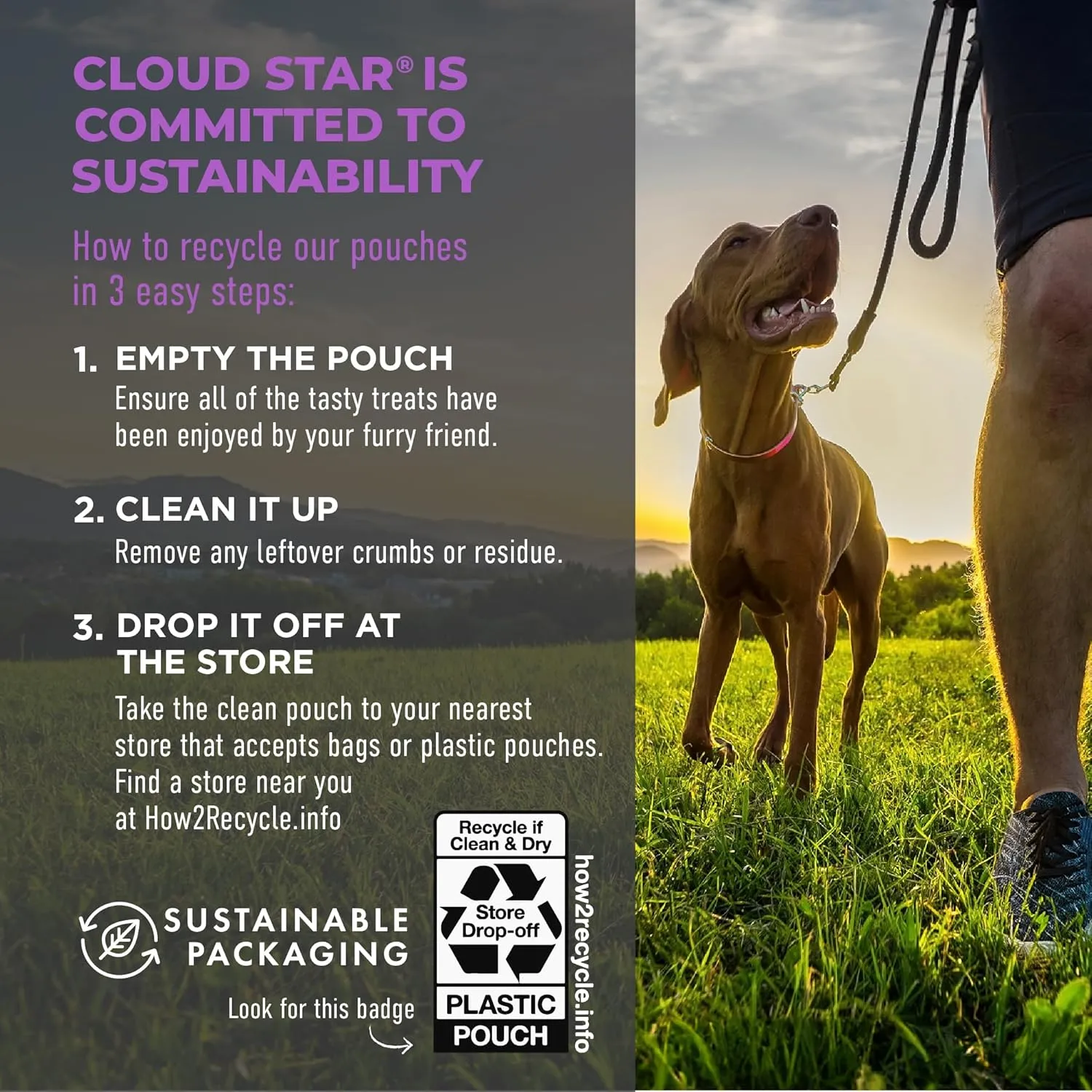 Cloud Star Tricky Trainers Soft & Chewy Dog Training Treats 14 oz. Pouch, Liver Flavor, Low Calorie Behavior Aid with 360 treats