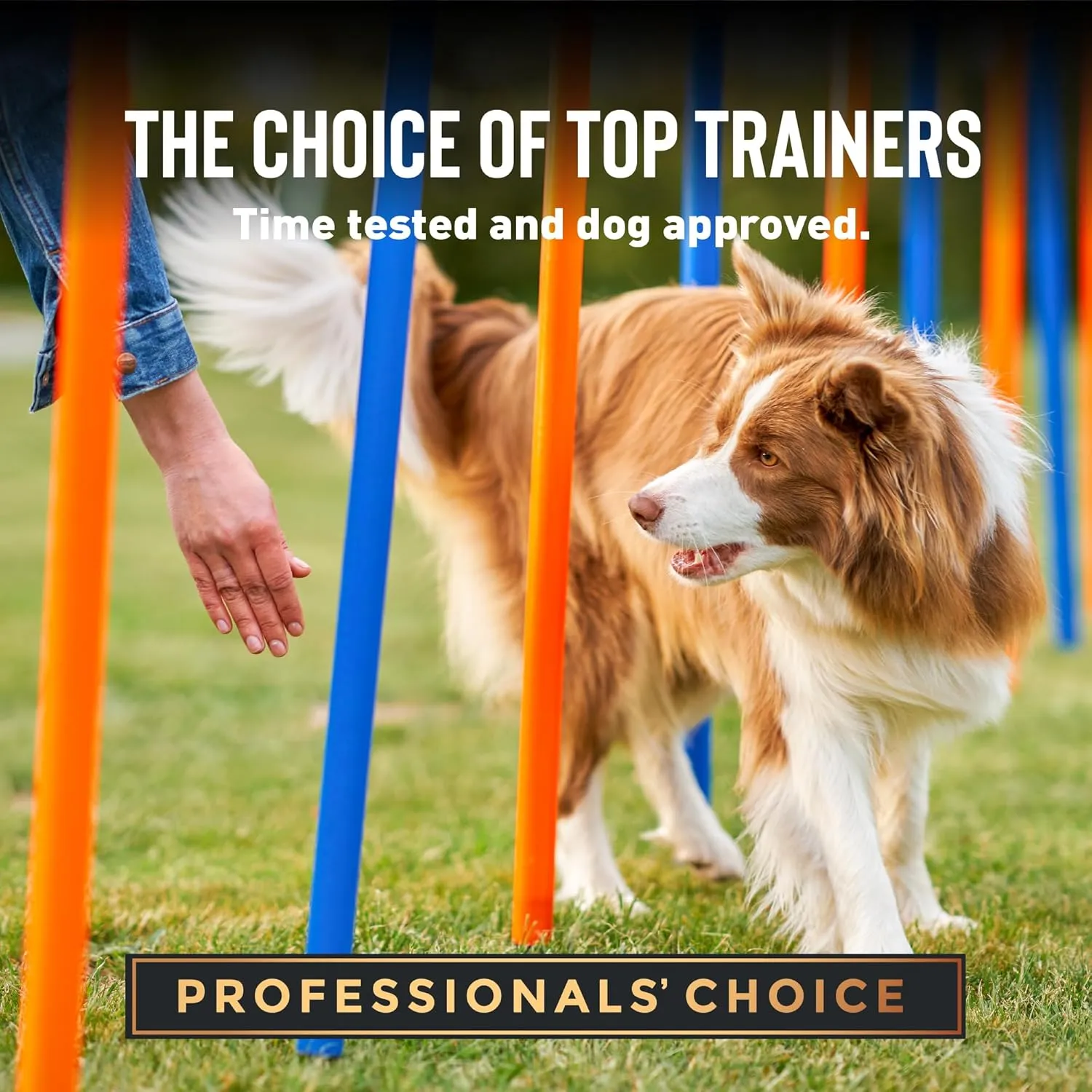 Cloud Star Tricky Trainers Soft & Chewy Dog Training Treats 14 oz. Pouch, Liver Flavor, Low Calorie Behavior Aid with 360 treats