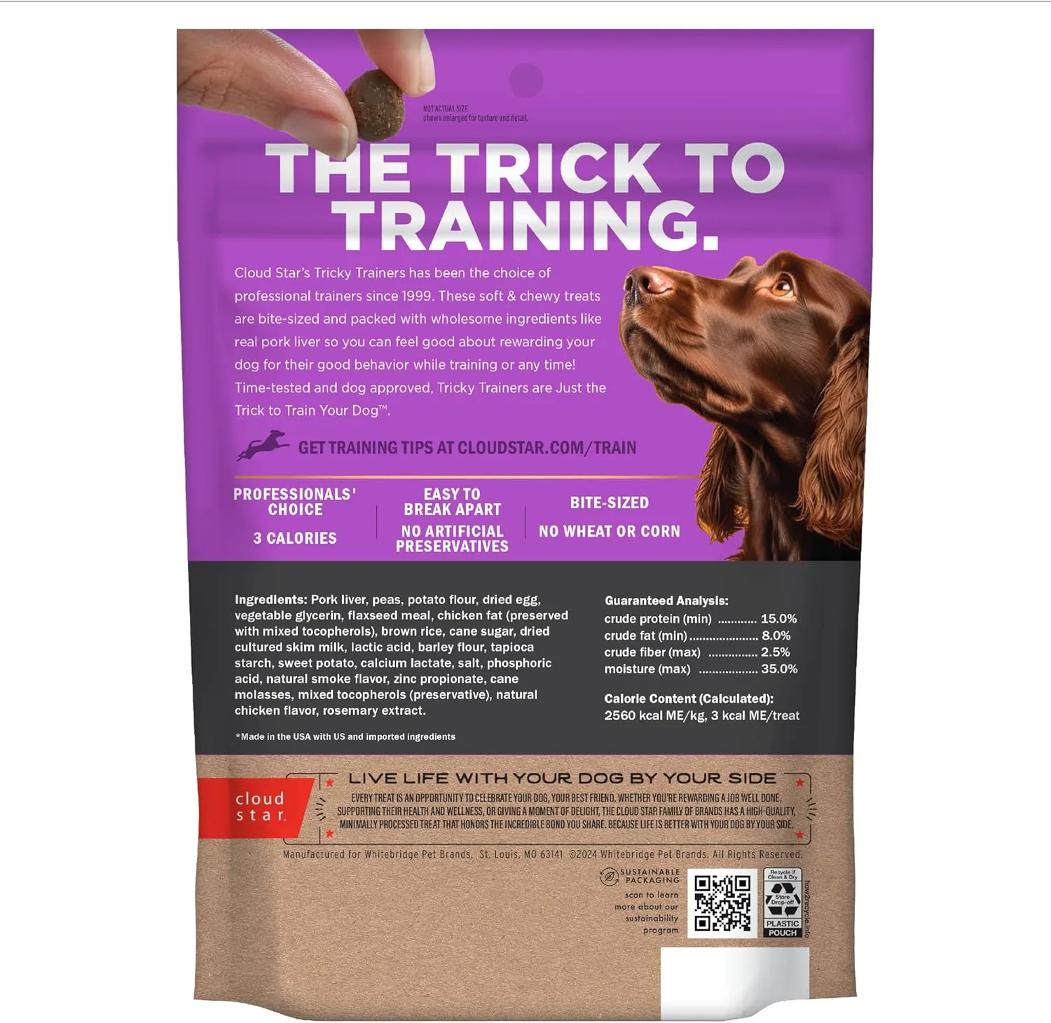 Cloud Star Tricky Trainers Soft & Chewy Dog Training Treats 14 oz. Pouch, Liver Flavor, Low Calorie Behavior Aid with 360 treats