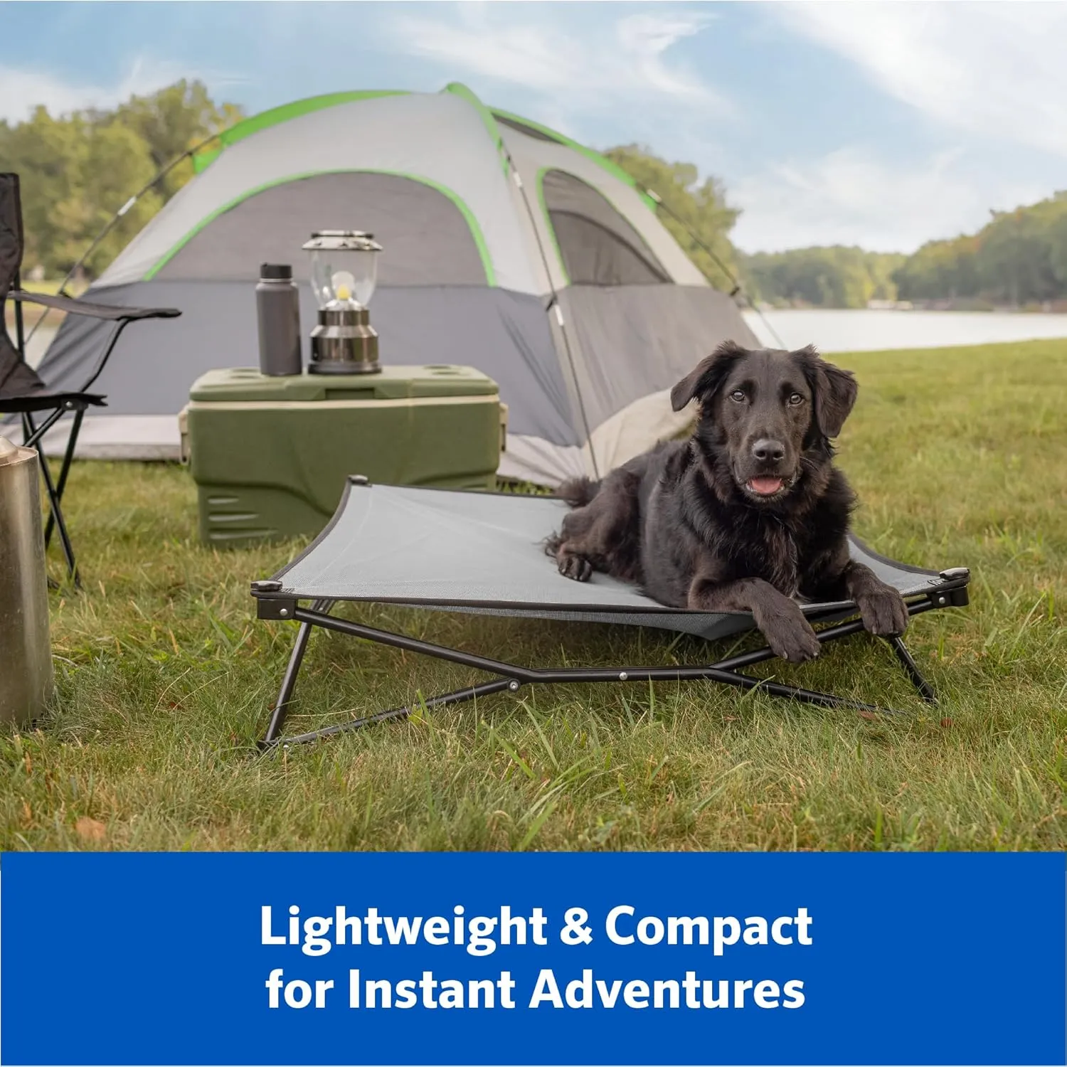 Coolaroo On-The-Go Elevated Dog Bed Kit  Portable & Cooling Travel Cot with HeatShield Fabric for Large Dogs, Lightweight & Compact, Includes Matching Carry Bag & Everglade Green Bonus Cover, Large