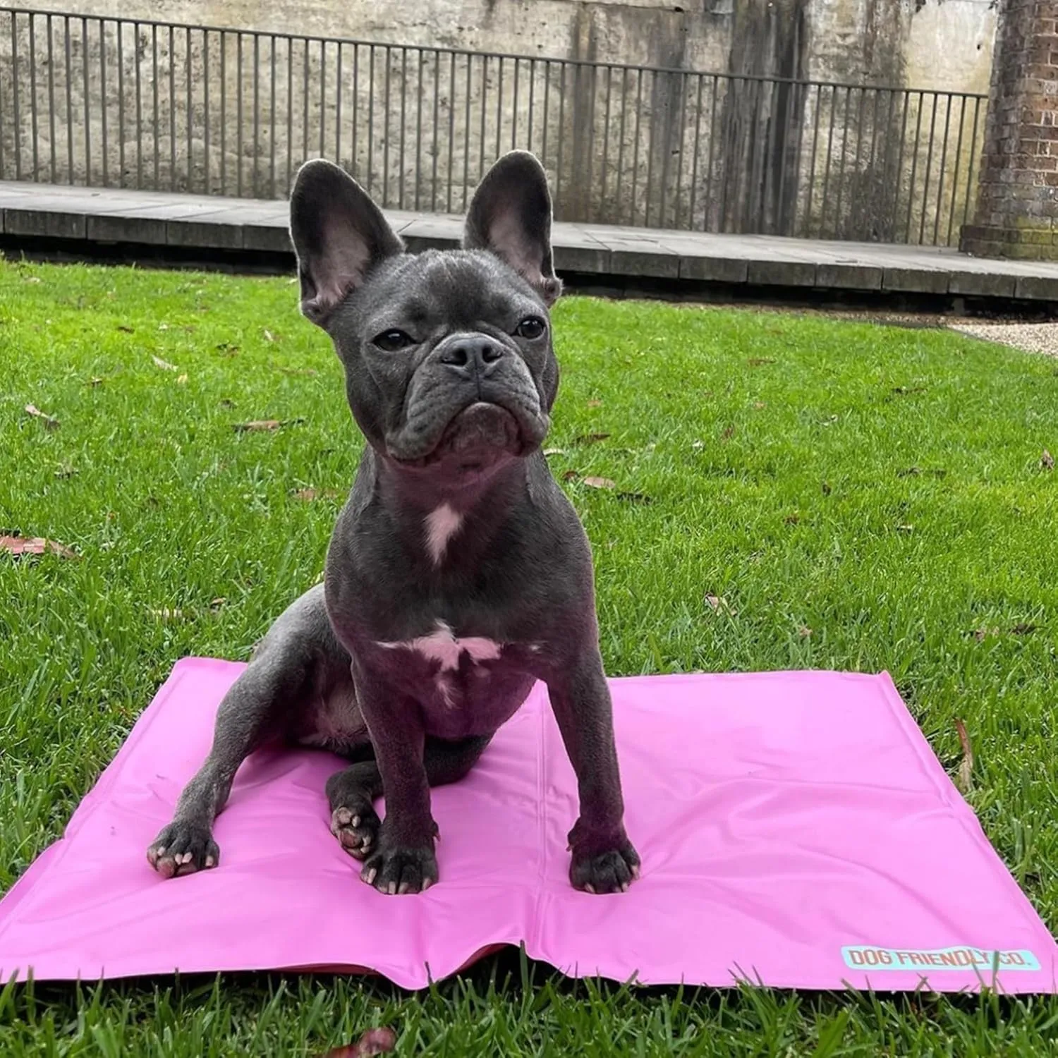 DF Co. Dog Cooling Mat for Summer | Automatic Cooling, Easily Foldable, Non-Toxic Gel Interior | Pink, Size L