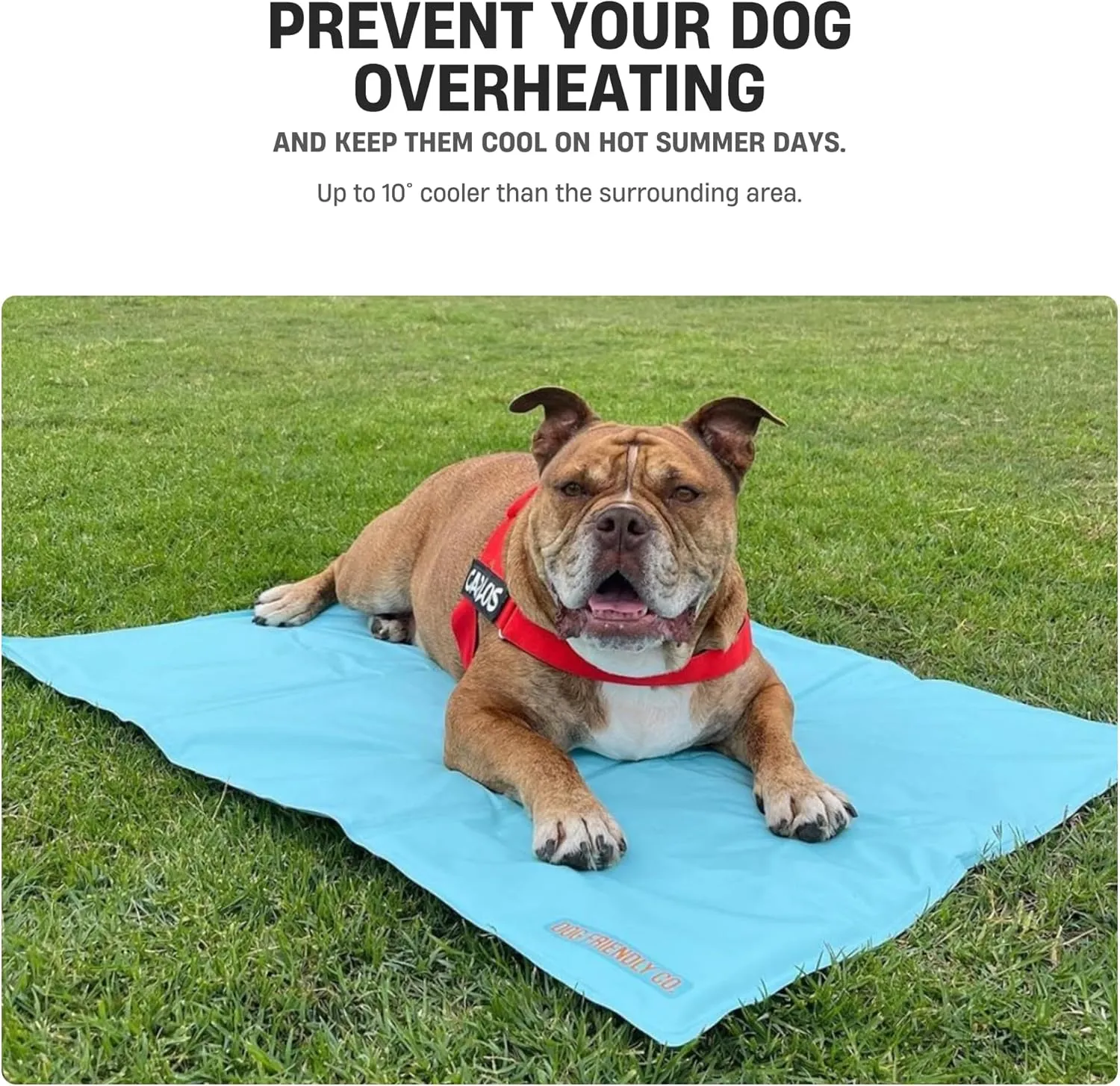 DF Co. Dog Cooling Mat for Summer | Automatic Cooling, Easily Foldable, Non-Toxic Gel Interior | Pink, Size L