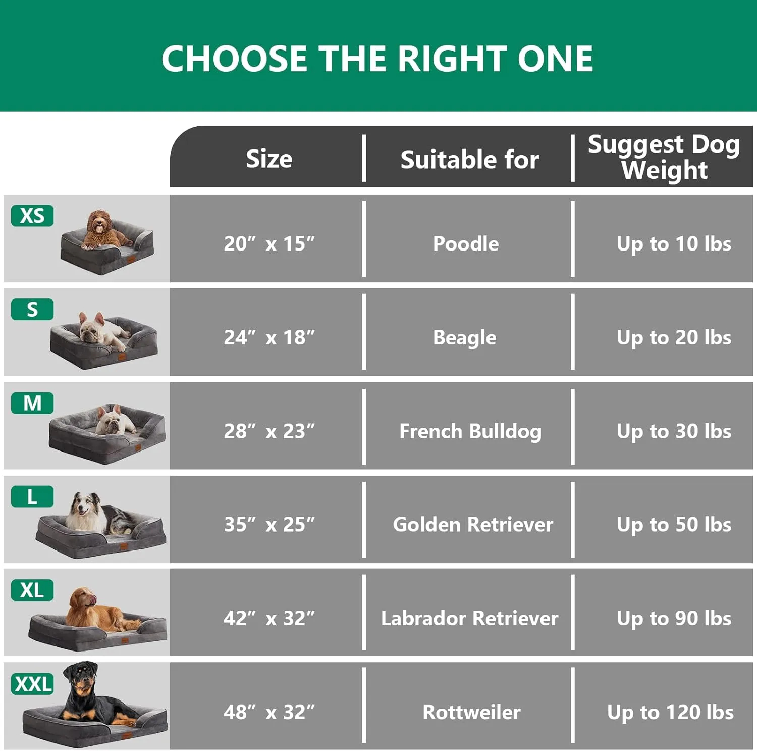 Dog Beds for Medium Dogs with Removable Washable Cover Dog Bed Medium Waterproof for Dogs up to 35 lbs