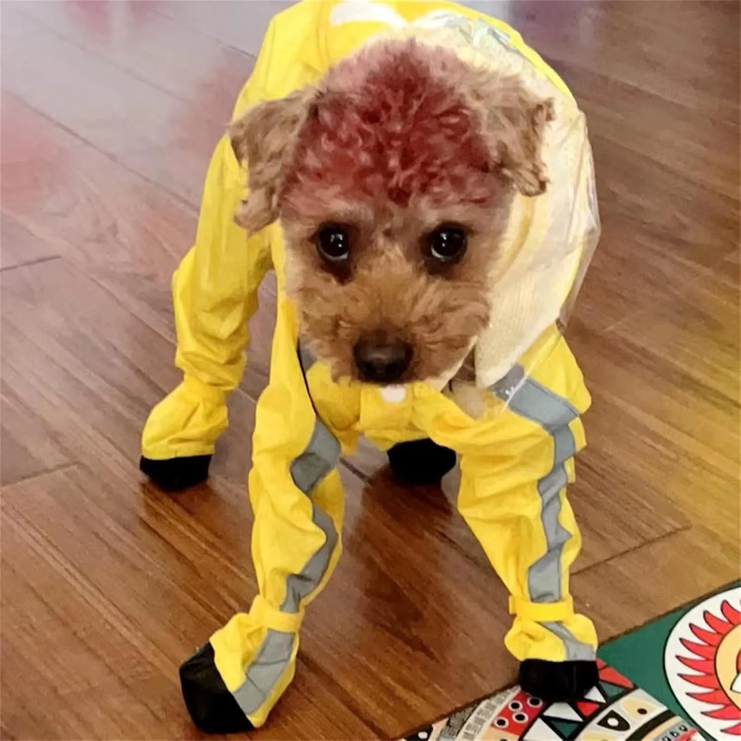 Dog Raincoat with Boots,Waterproof Dog Raincoats with Hood for Small Medium Large Dogs,Raincoat with Reflective Strap, Lightweight Rain Jacket with Leash Hole (Yellow Flower, Medium)