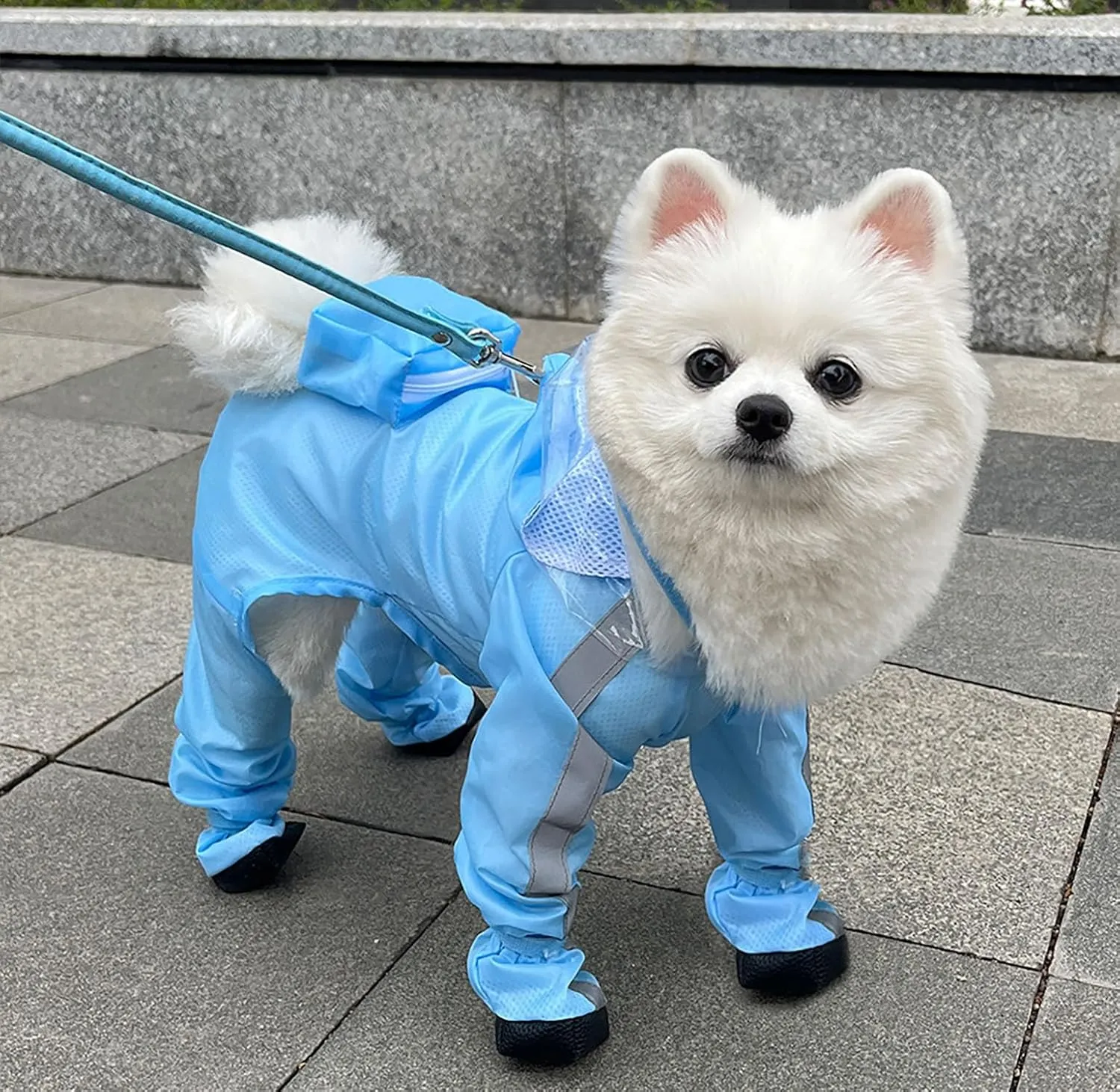 Dog Raincoat with Hood, Waterproof Full-Coverage Reflective Rain Jacket with Leash Quick-Drying Rain Poncho and Shoes for Small Medium Large Dogs,Blue,M