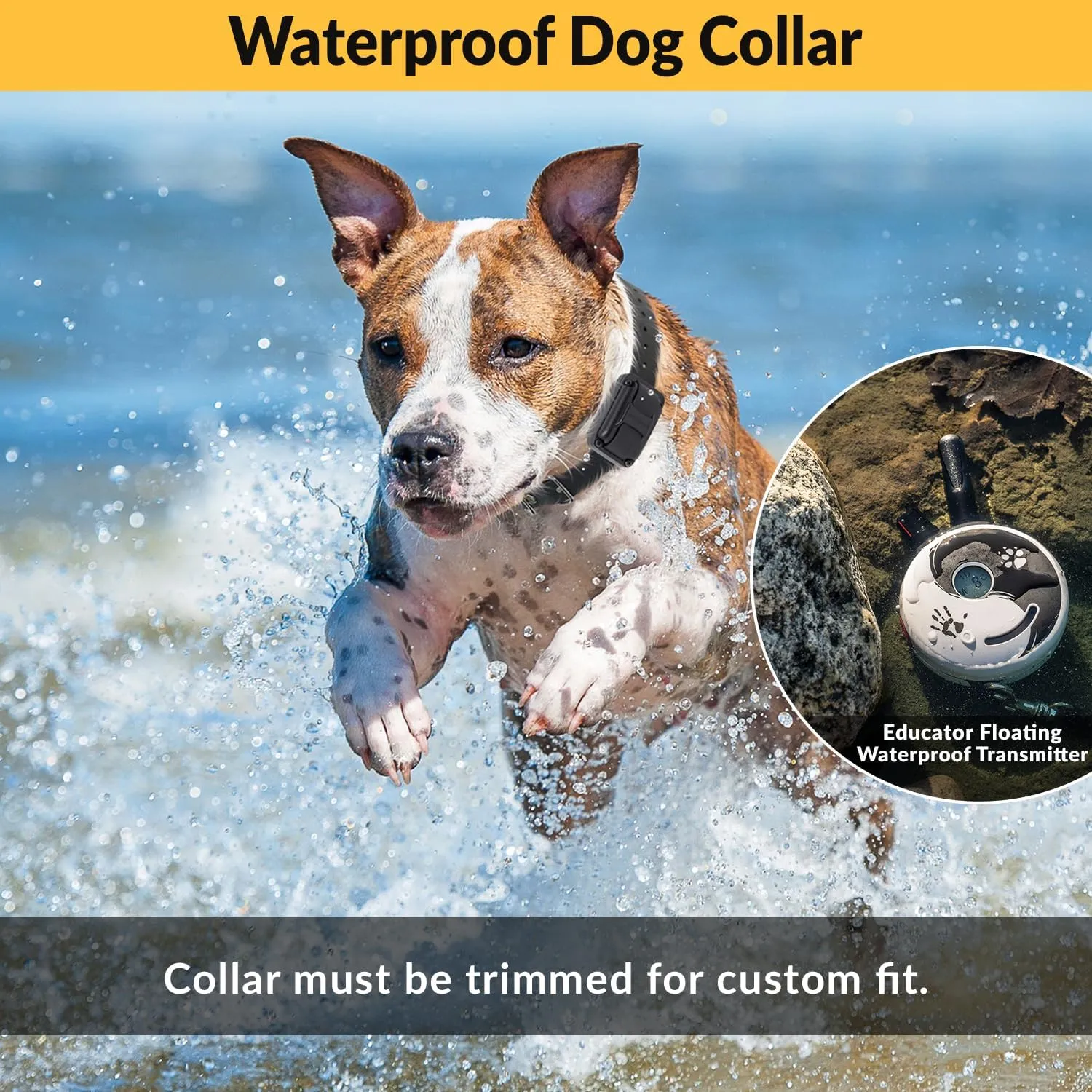 E-Collar  Educator ZEN-302-1/2 Mile Waterproof Remote Dog Training Collar Includes Premium Finger Clicker Trainer, 100 Programmable Levels   Vibration   Light   Sound