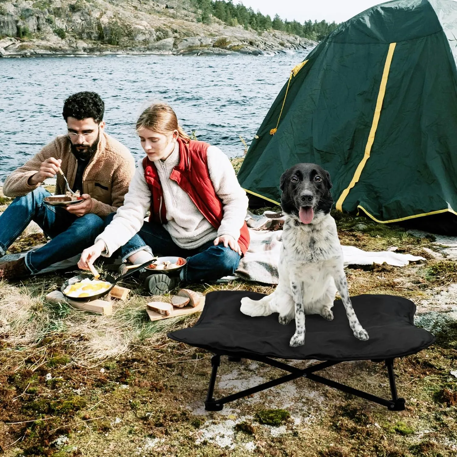 Elevated Dog Bed, Portable Raised Pet Cot for Outdoor and Indoor Folding Dog Cot Bed with Padded Filling Carrying Bag Included Pet Raised Travel Lounger for Camping Traveling (36x36x12inch)