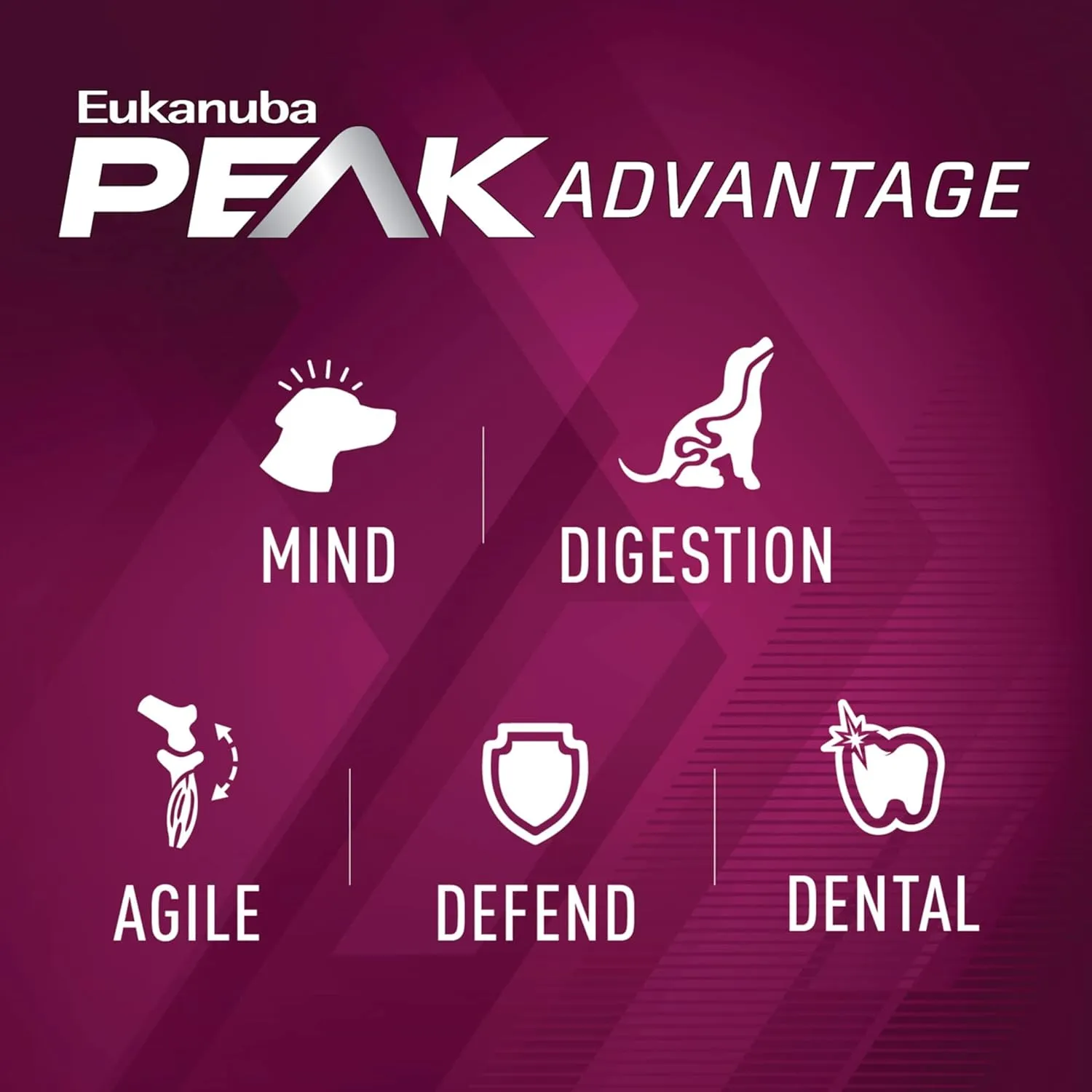 Eukanuba Premium Performance 30/20 Sport Dry Dog Food, Dry Dog Food with Protein and Fat to Support Optimal Energy, 28 lb Bag