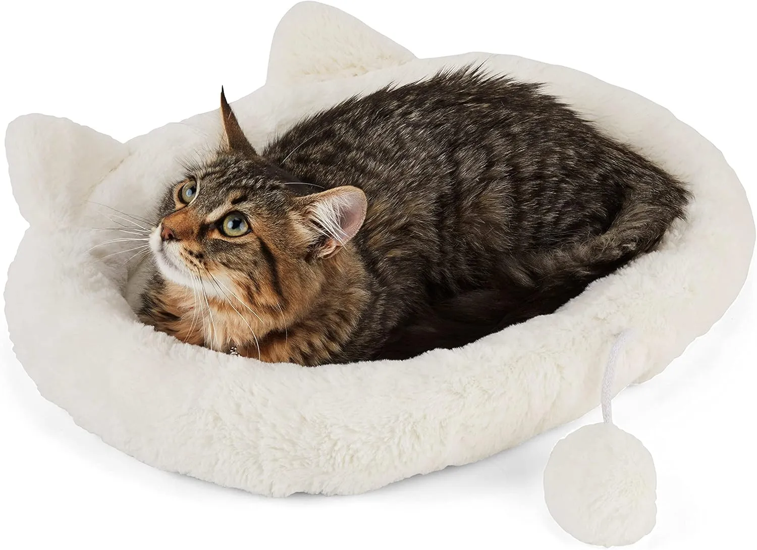EveryYay Snooze Fest Ivory Cat Head Oval Snuggler Bed 17" L X 14" W X 2" H