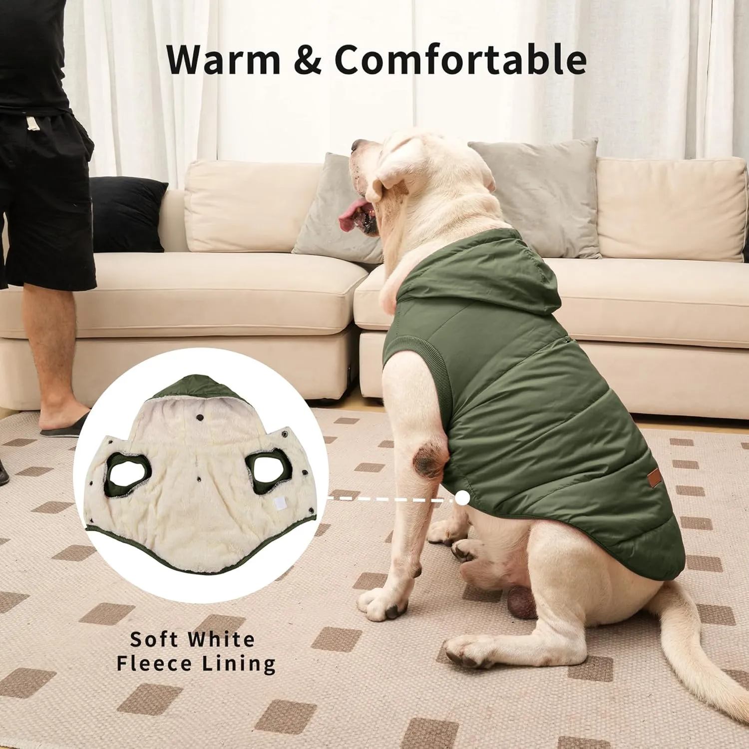 Fleece Lining Extra Warm Dog Hoodie in Winter for Small Dogs Jacket Puppy Coats with Hooded Green M