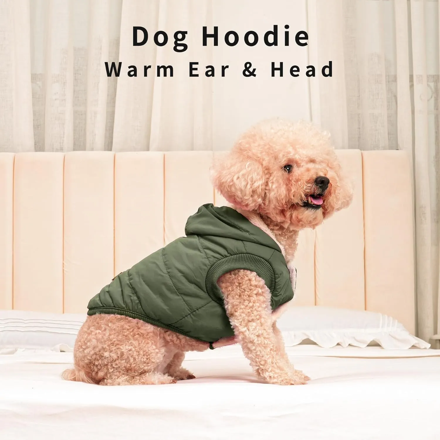 Fleece Lining Extra Warm Dog Hoodie in Winter for Small Dogs Jacket Puppy Coats with Hooded Green M