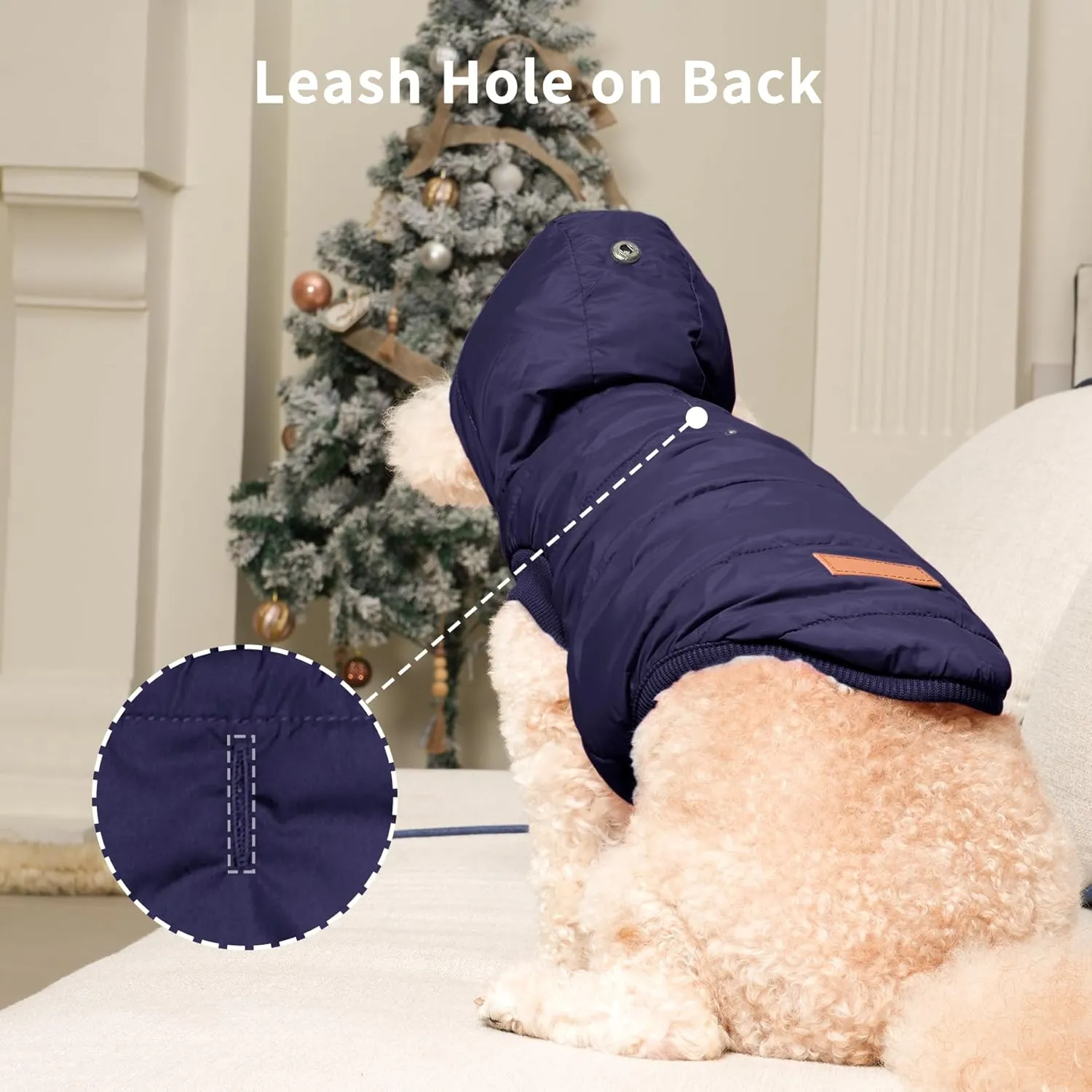 Fleece Lining Extra Warm Dog Hoodie in Winter for Small Dogs Jacket Puppy Coats with Hooded,Blue M