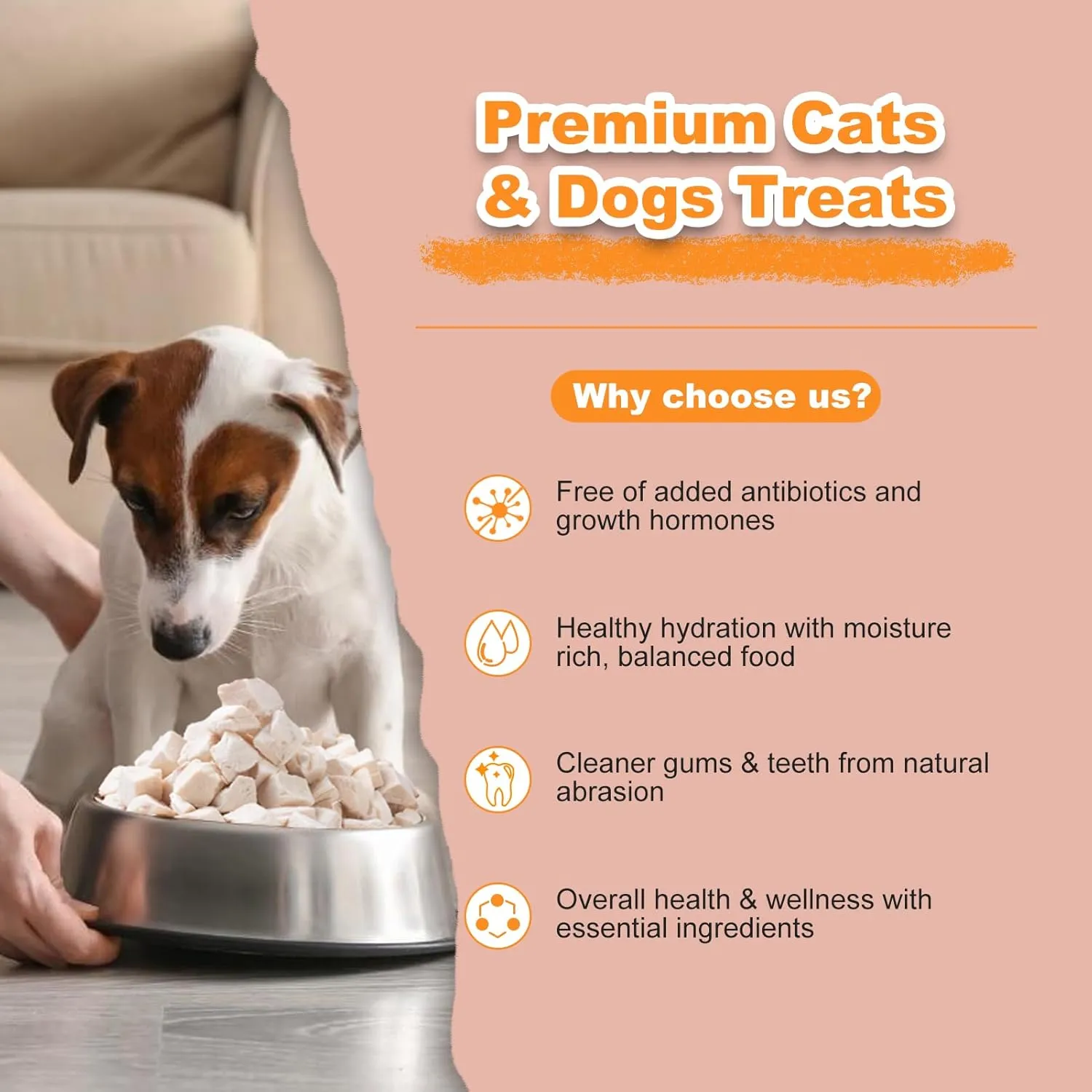 Freeze Dried Chicken Breast - High Protein Cat & Dog Treats for Training Healthy Single Ingredient Grain Free Easy Digest Pet Food (4 oz)