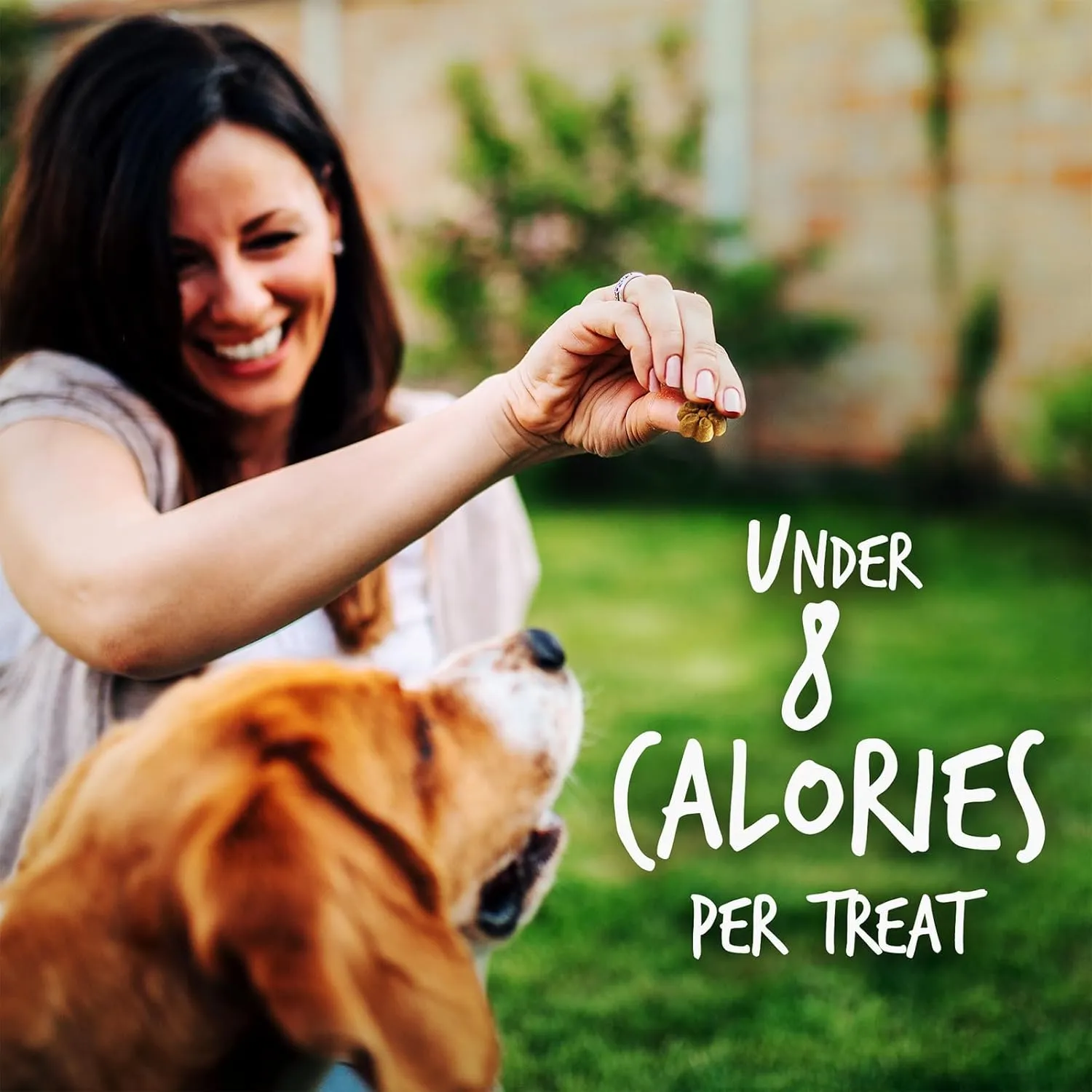 Fruitables Baked Dog Treats  Healthy Low Calorie  Free of Wheat, Corn and Soy  Pumpkin and Banana  12 Ounces
