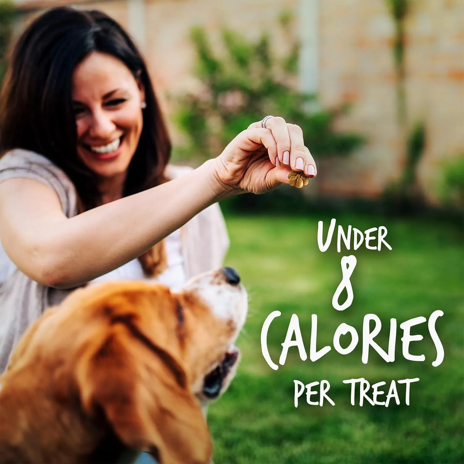 Fruitables Baked Dog Treats  Healthy Low Calorie , Free of Wheat, Corn and Soy  Pumpkin and Blueberry  12 Ounces