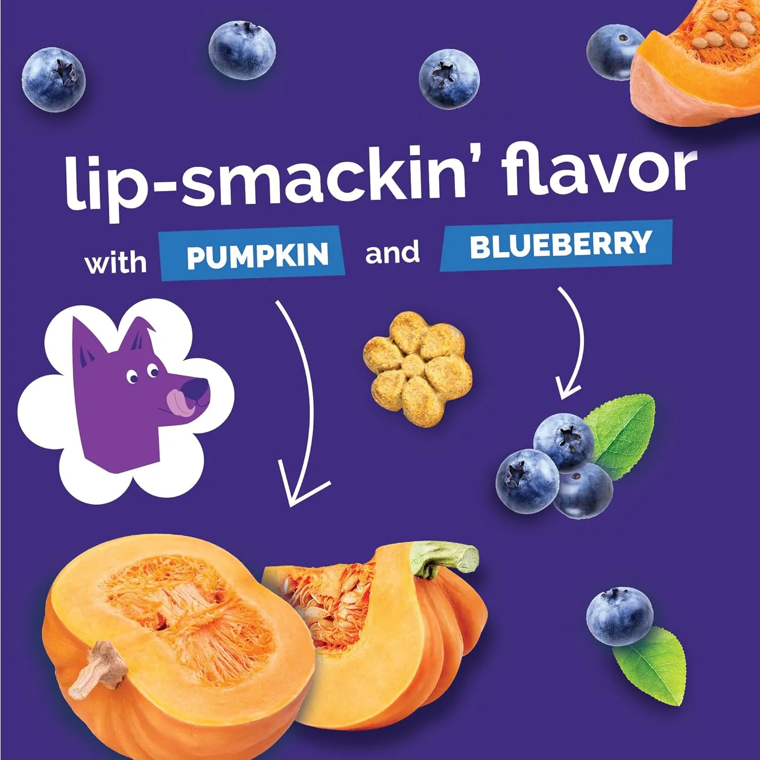 Fruitables Baked Dog Treats, Healthy Pumpkin Treat for Dogs, Low Calorie & Delicious, Free of Wheat, Corn and Soy, Made in The USA, Pumpkin and Blueberry Flavor, 20oz