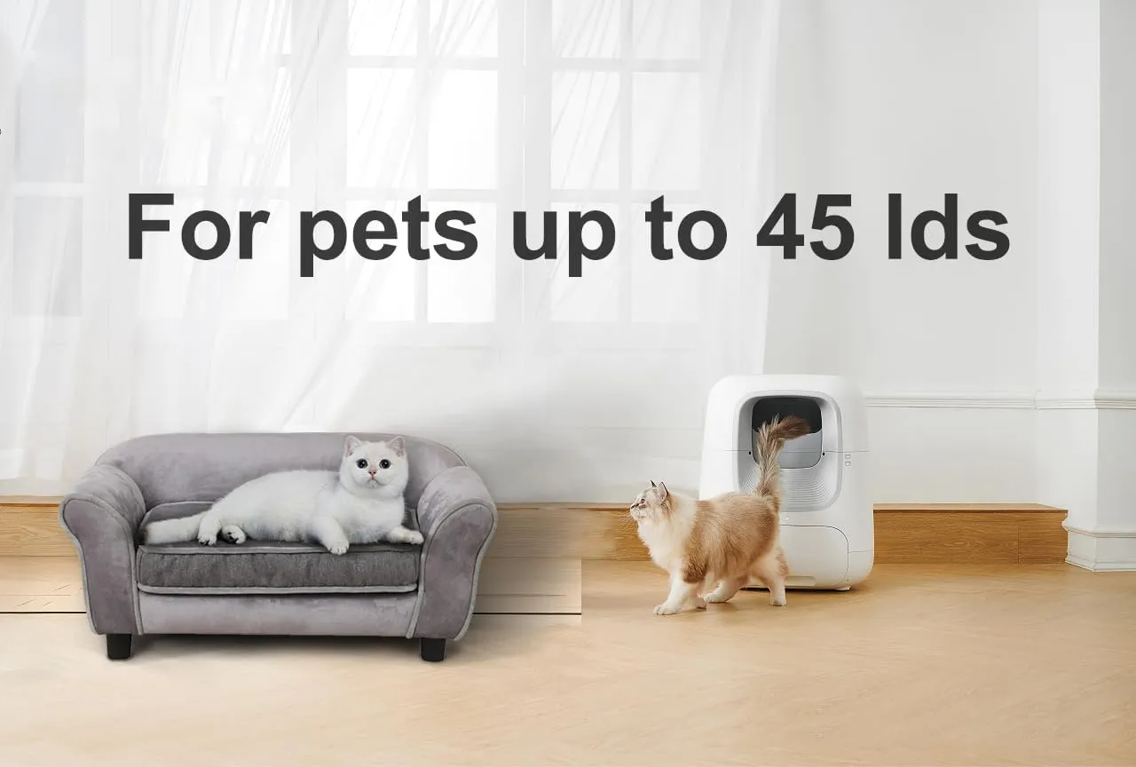 Getifun Small Dog Sofa Bed, Velvet Cat Bed Couch,Pet Sofa with Washable Cushion & Plastic Legs (29 x 16 x 12.7 inches (Gray)