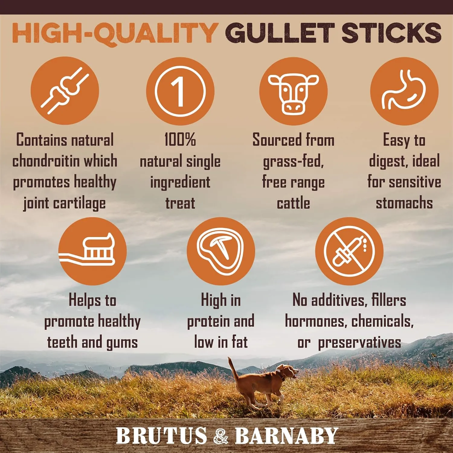 Gullet Sticks for Dogs, All Natural Single Ingredient Beef Jerky Chews, Healthy Beef Gullet Sticks, Naturally Occurring Glucosamine & Chondroitin, Can Help Joint Function for Puppies or Senior Dogs