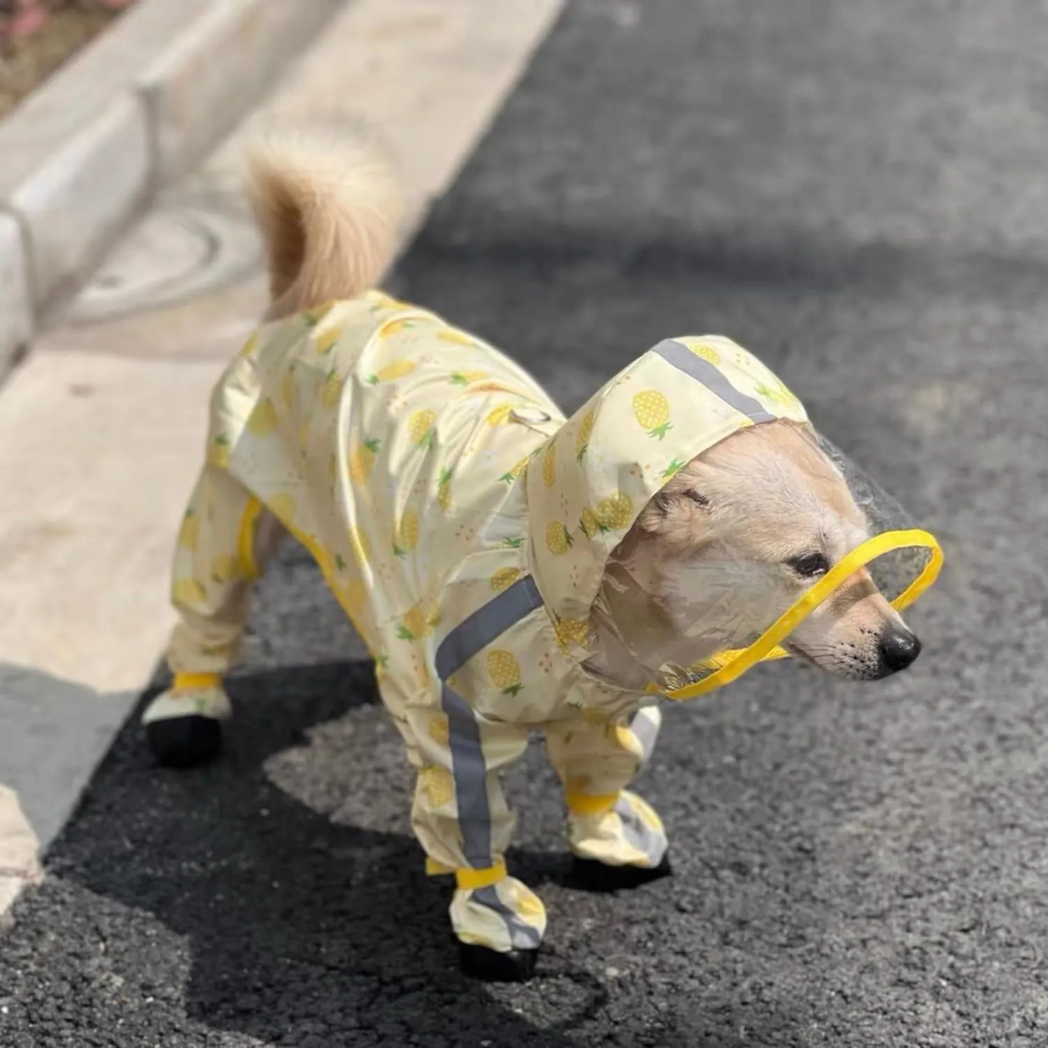 HDKUW Small Dog Raincoat & Rain Shoes Set,Full-Coverage Reflective Dog Jacket with D-Ring,Dogs Raincoat with Rain Boots Set for Puppy Small Dogs Pineapple M