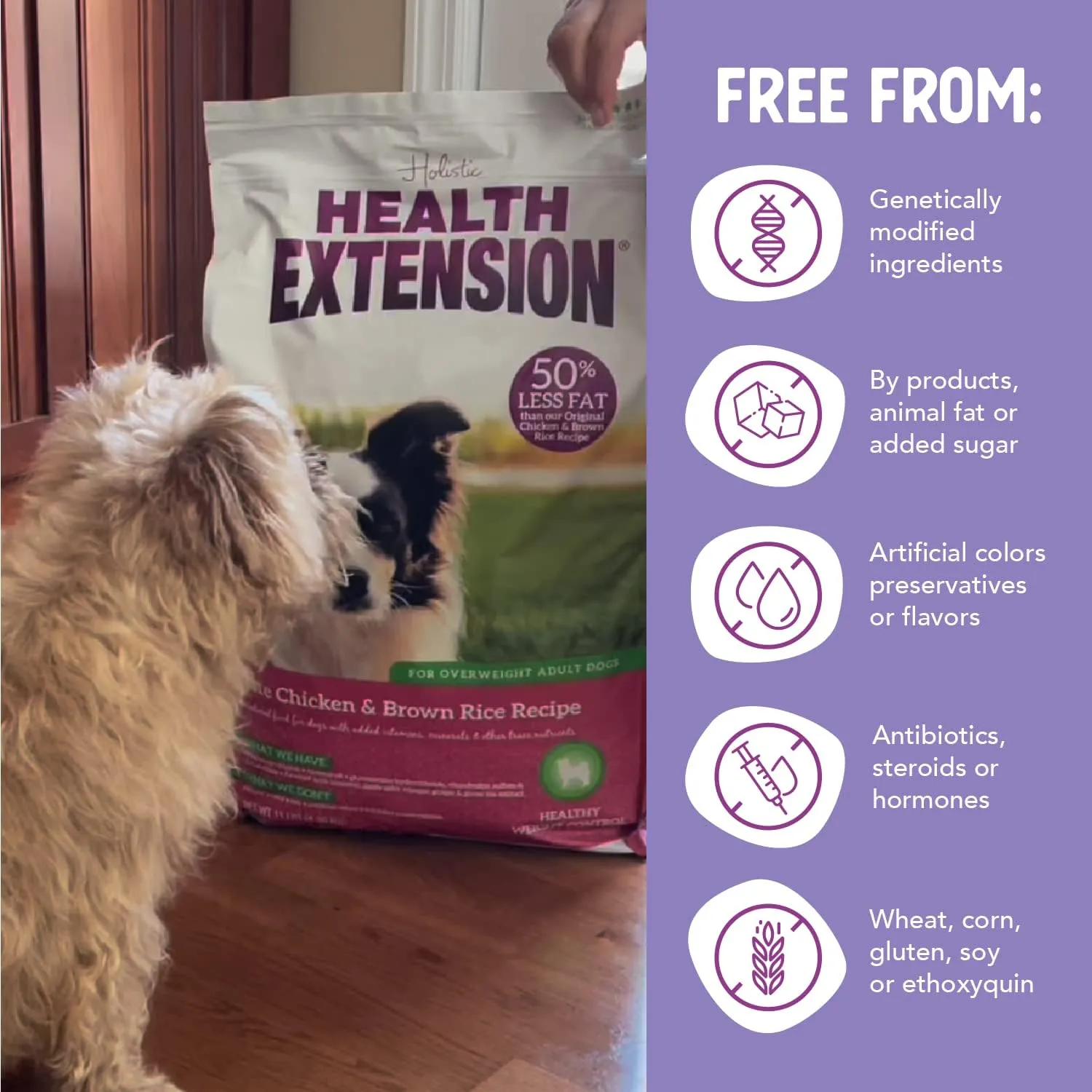 Health Extension Lite Chicken & Brown Rice Dry Dog Food (4 lb / 1.81 kg) - Low-Fat Formula with Glucosamine, Probiotics & Omega 3 for Overweight, Spayed, Neutered, or Senior Dogs