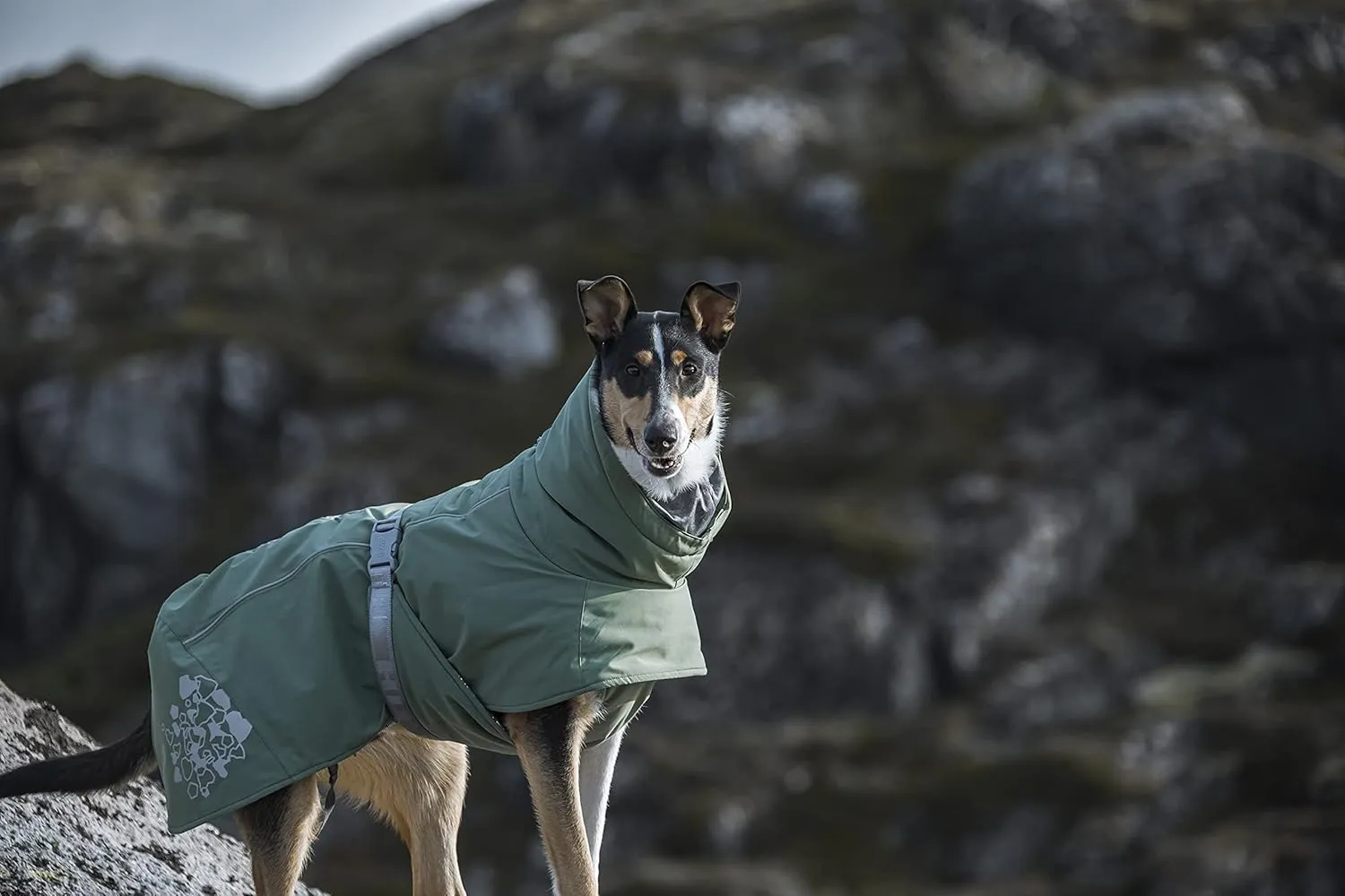 Hurtta Extreme Warmer 2, Winter Dog Coat ECO, Hedge, 24 in