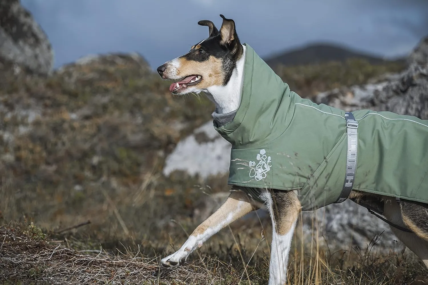 Hurtta Extreme Warmer 2, Winter Dog Coat ECO, Hedge, 24 in