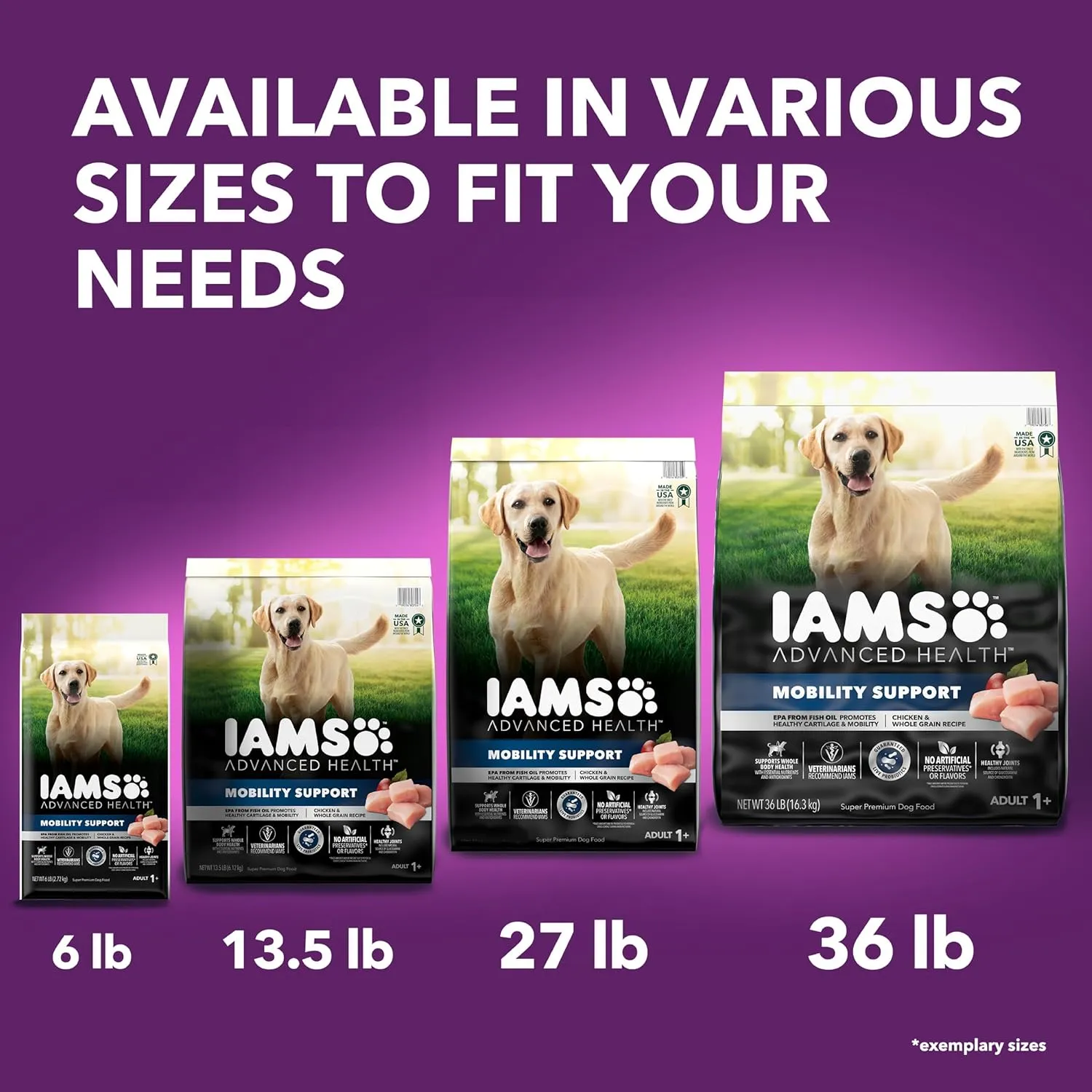 IAMS Advanced Health Mobility Support Chicken and Whole Grain Recipe Adult Dry Dog Food, 13.5 lb. Bag