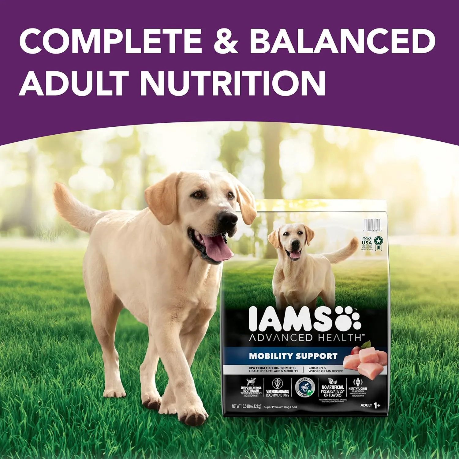 IAMS Advanced Health Mobility Support Chicken and Whole Grain Recipe Adult Dry Dog Food, 13.5 lb. Bag