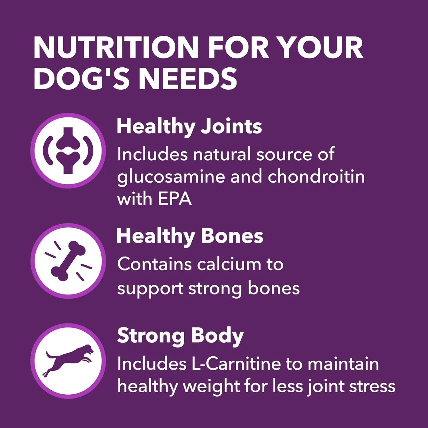 IAMS Advanced Health Mobility Support Chicken and Whole Grain Recipe Adult Dry Dog Food, 13.5 lb. Bag