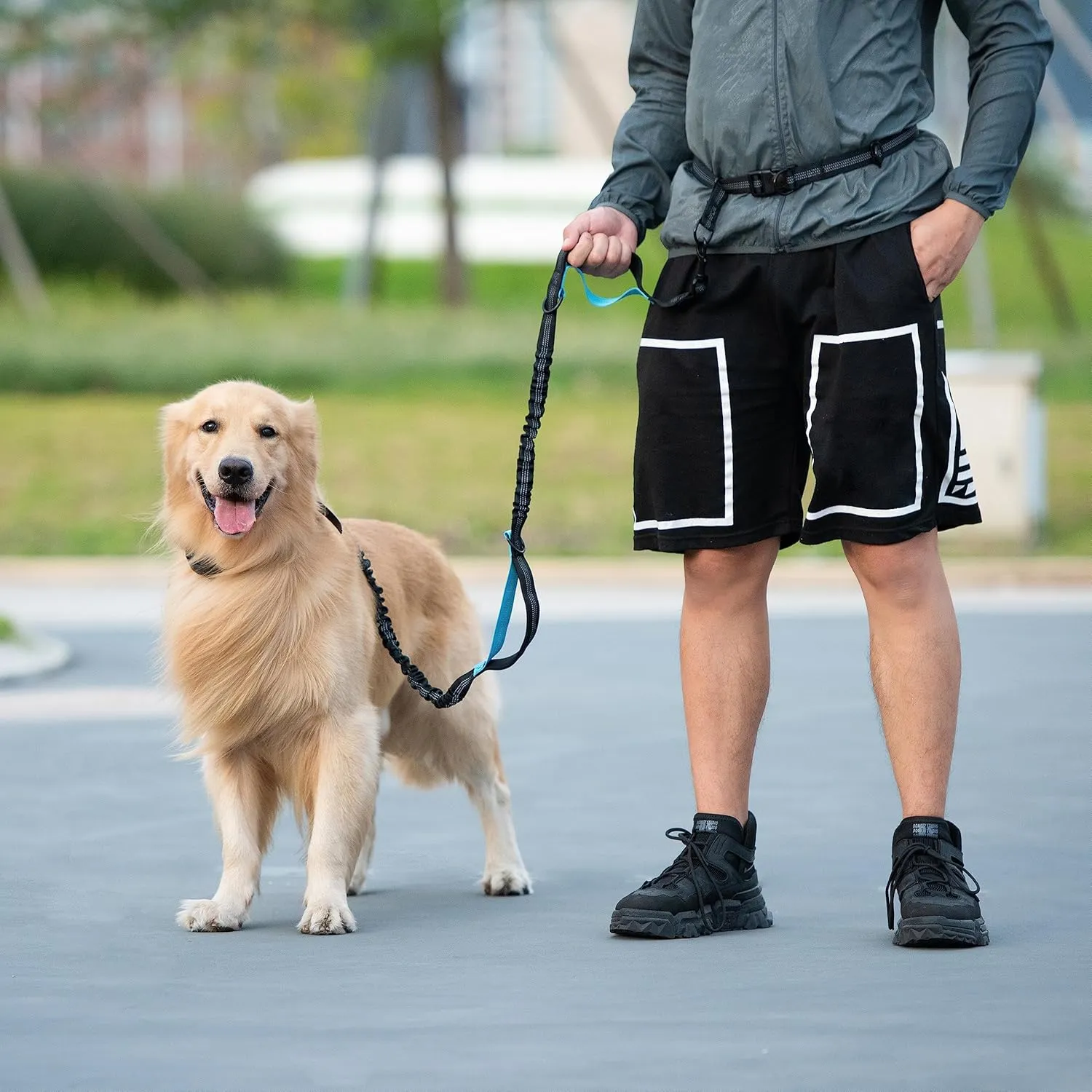 iYoShop Hands Free Dog Leash with Zipper Pouch, Dual Padded Handles and Durable Bungee for Walking, Jogging and Running Your Dog (Large, 25-120 lbs, Very Berry)