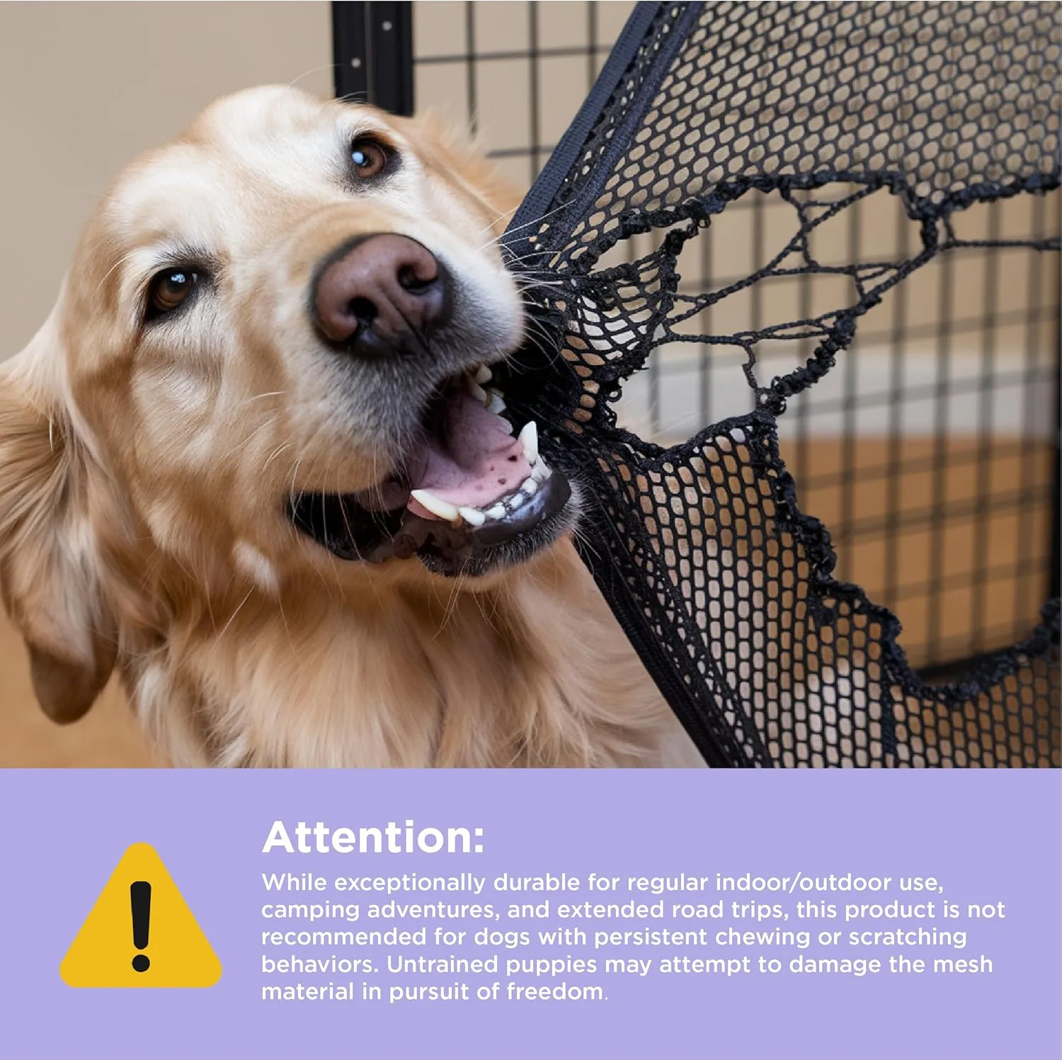 Lesure Collapsible Dog Crate - Portable Travel Kennel for Large Dog, 4-Door Pet Crate with Durable Mesh Windows, Indoor & Outdoor, Light Gray