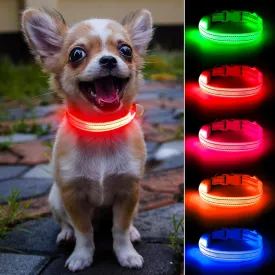 Light Up Dog Collar for Small Dogs - Rechargeable LED Dog Collar Adjustable Reflective Puppy Collar LED Cat Collar, Glowing Safety Dog Lights for Night Walking (XS, Red)