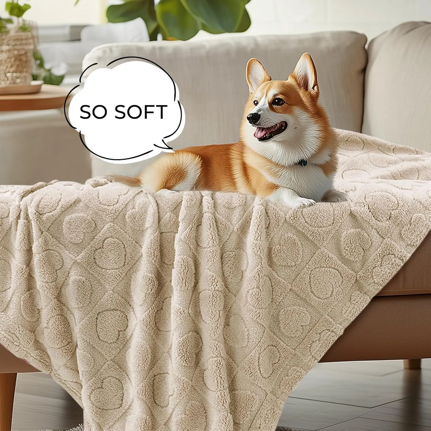 Luciphia Small Dog Blanket Washable Pet Bed Cover Soft Fluffy Puppy Couch Protector with Premium Fleece Cozy Calming Cat Blankets for Indoor Cats Beige 41x31 inch